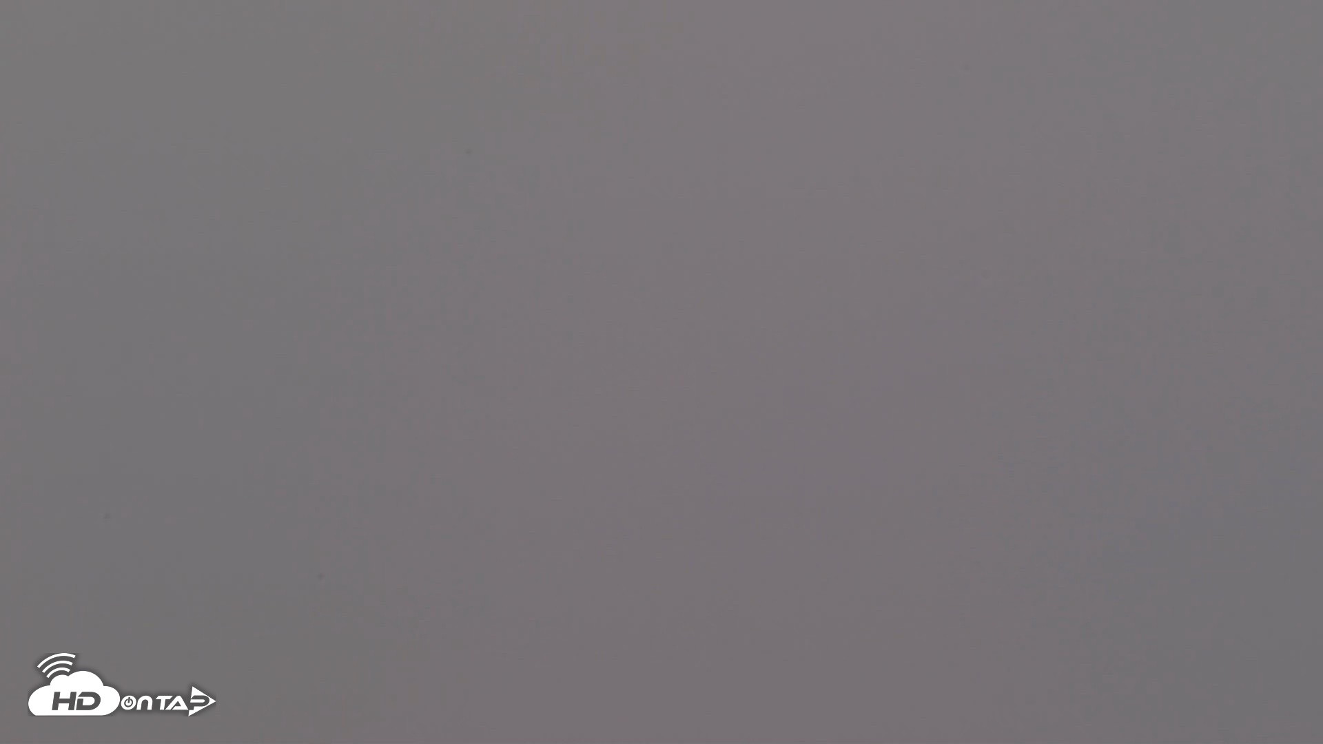 Snapshot of Kodiak Alaska Brown Bears Live Webcam taken Aug 8, 2026, 7:34am AKDT