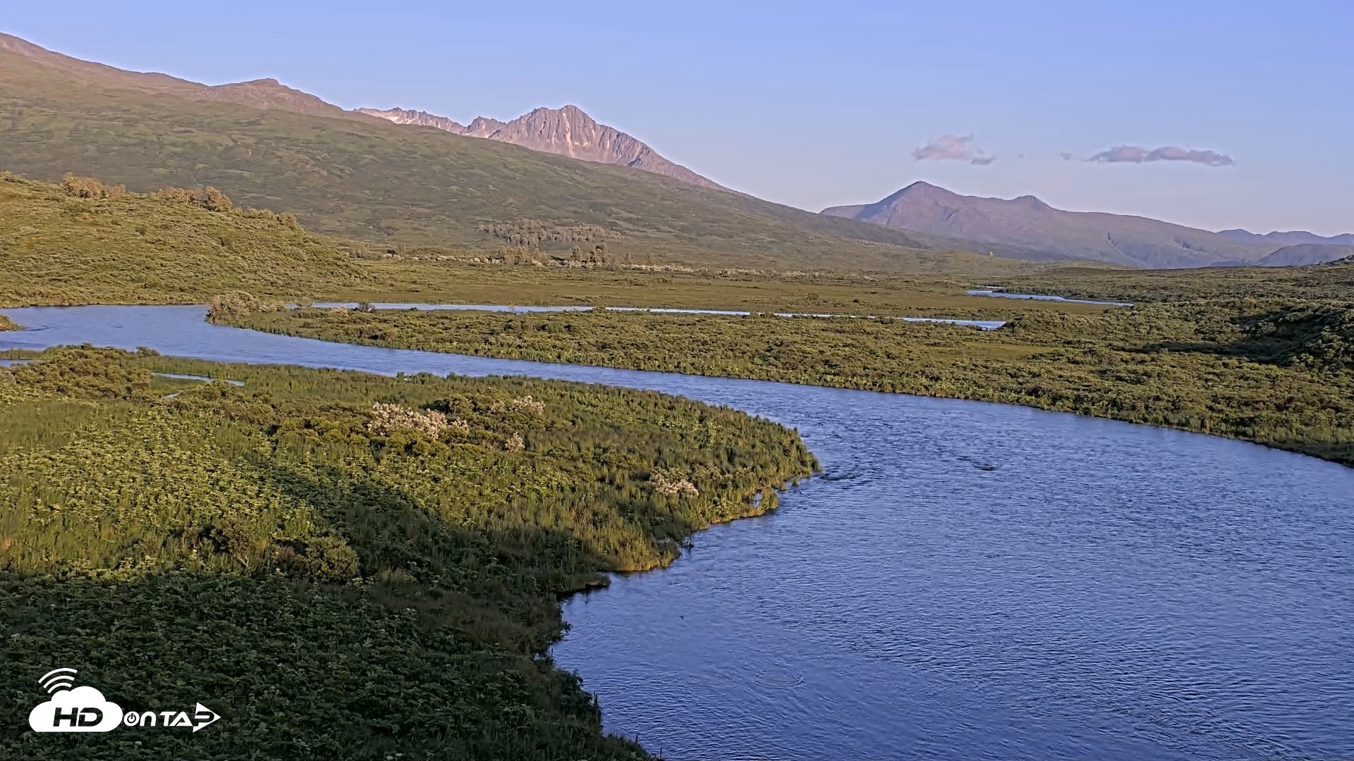 Snapshot of Kodiak Alaska Brown Bears Live Webcam taken Jul 24, 2026, 9:15pm AKDT