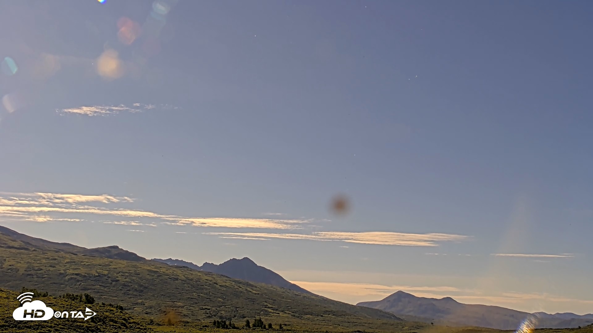 Snapshot of Kodiak Alaska Brown Bears Live Webcam taken Jul 30, 2026, 10:11am AKDT