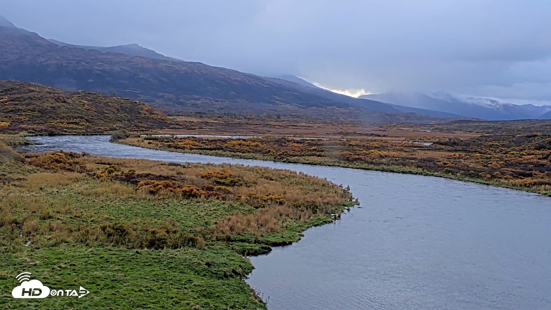 Snapshot of Kodiak Alaska Brown Bears Live Webcam taken Oct 8, 2026, 10:13am AKDT