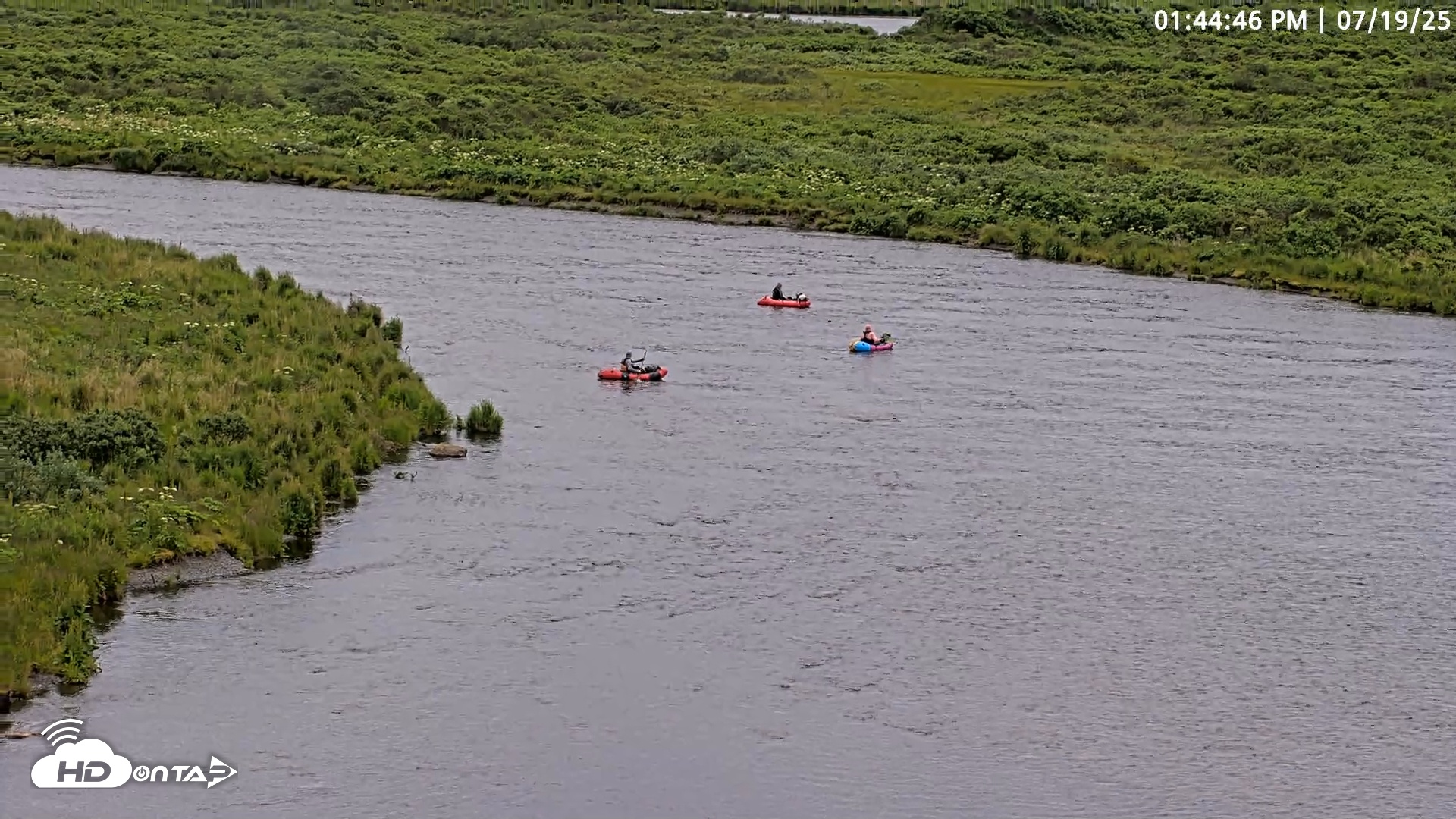 Snapshot of Kodiak Alaska Brown Bears Live Webcam taken Jul 19, 2025, 1:45pm AKDT