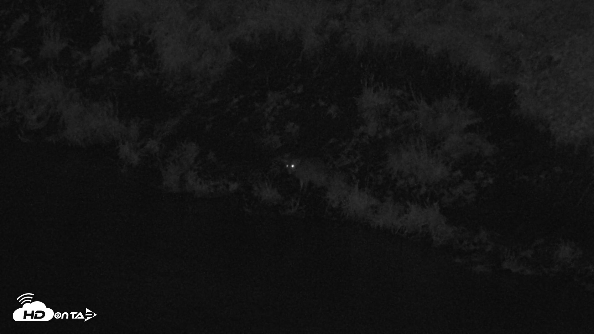 Snapshot of Kodiak Alaska Brown Bears Live Webcam taken Aug 17, 2026, 10:52pm AKDT