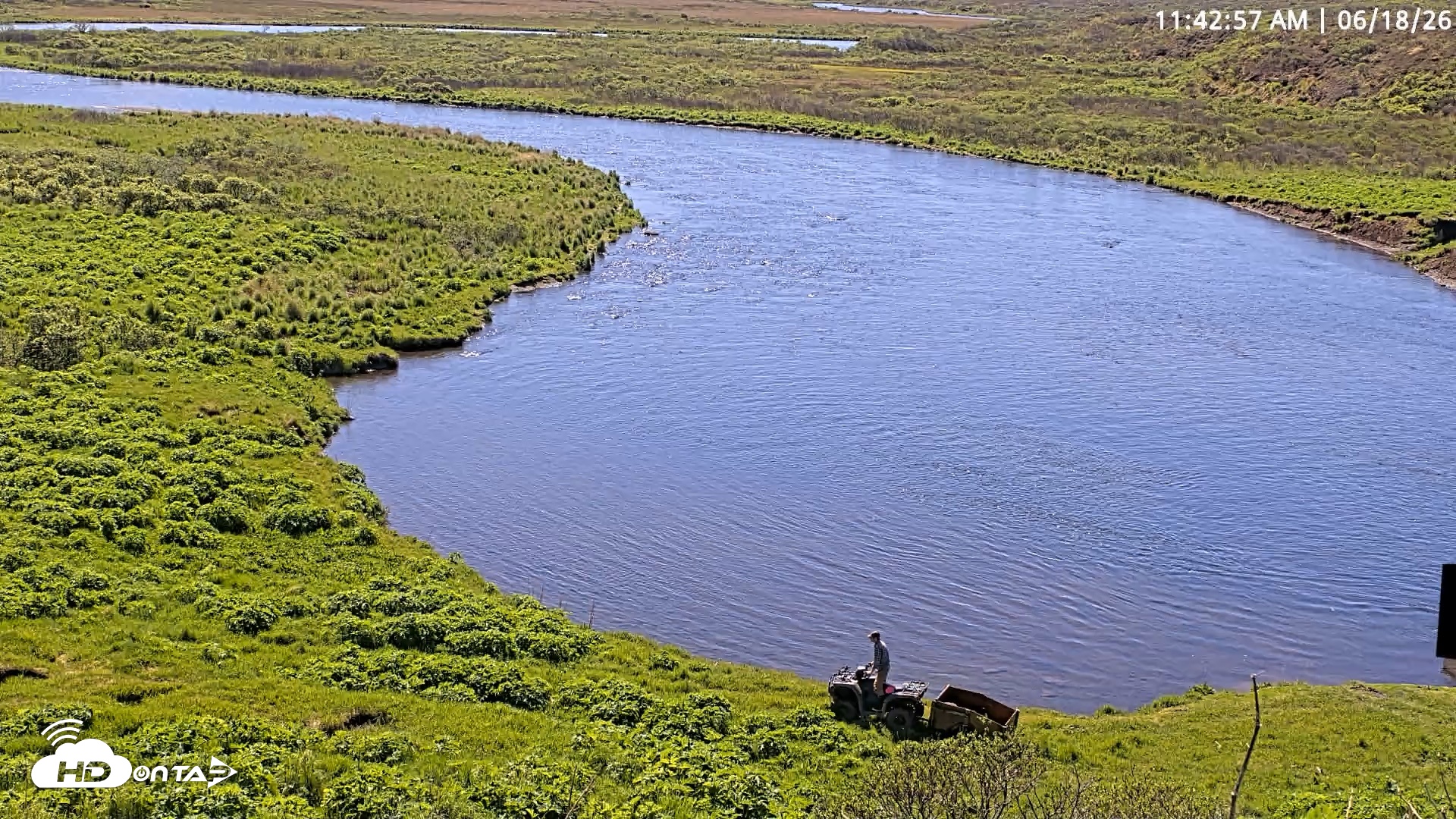 Snapshot of Kodiak Alaska Brown Bears Live Webcam taken Jun 18, 2026, 11:44am AKDT