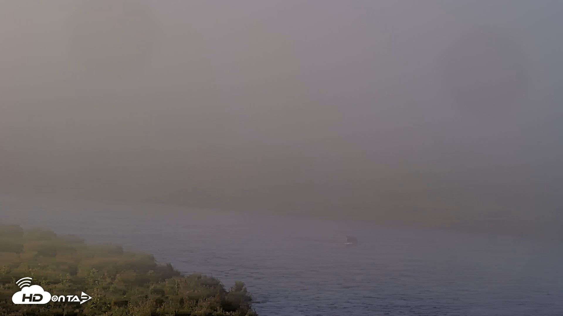 Snapshot of Kodiak Alaska Brown Bears Live Webcam taken Jul 30, 2026, 7:24am AKDT