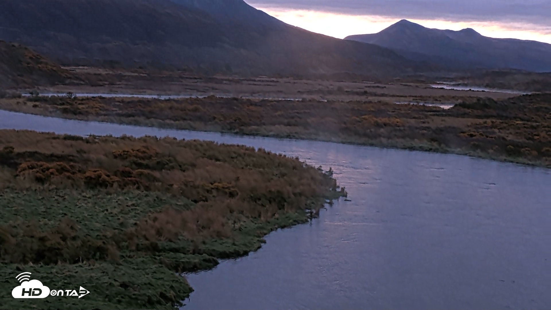 Snapshot of Kodiak Alaska Brown Bears Live Webcam taken Oct 8, 2026, 8:08am AKDT