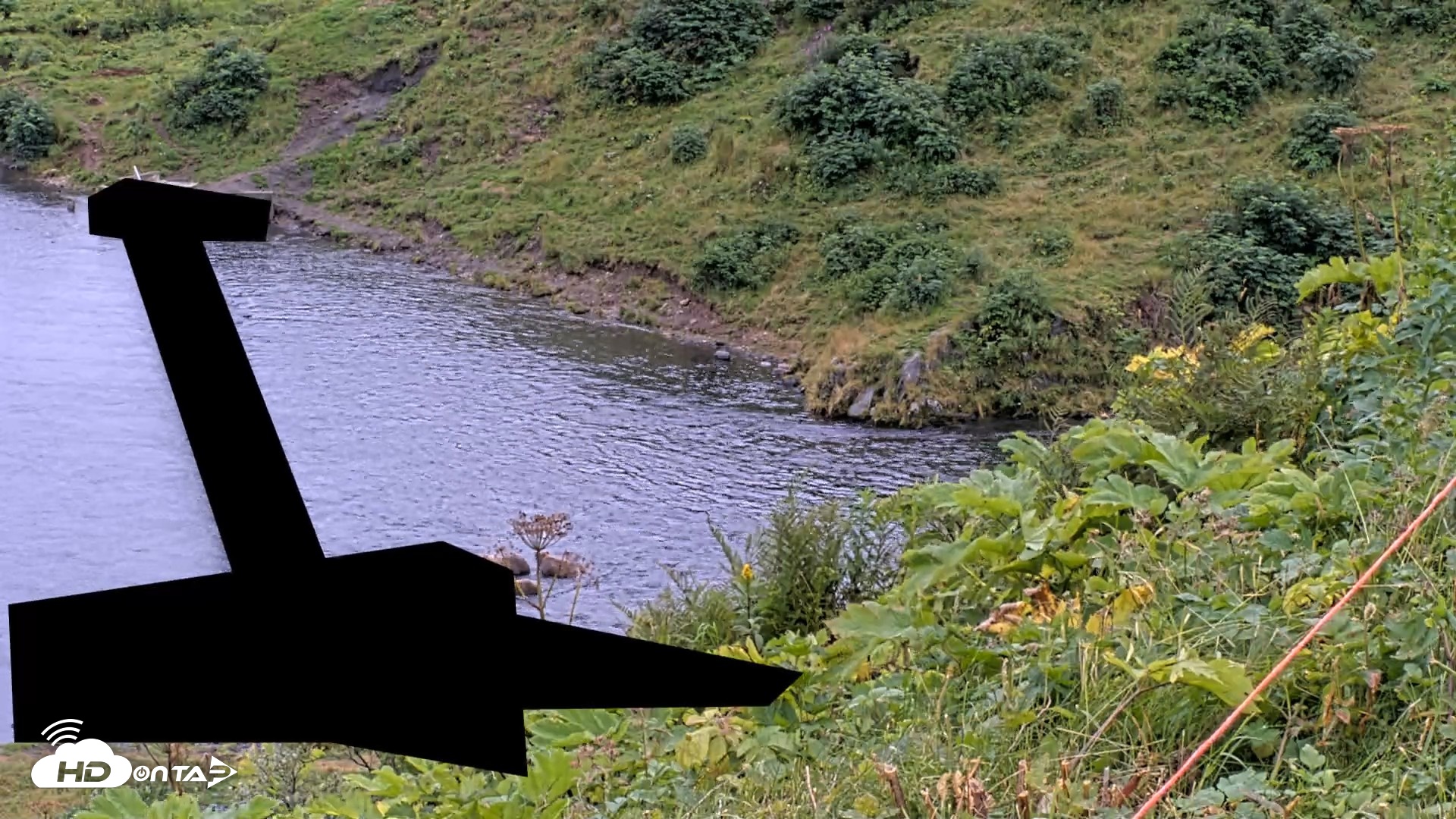 Snapshot of Kodiak Alaska Brown Bears Live Webcam taken Aug 19, 2026, 4:36pm AKDT