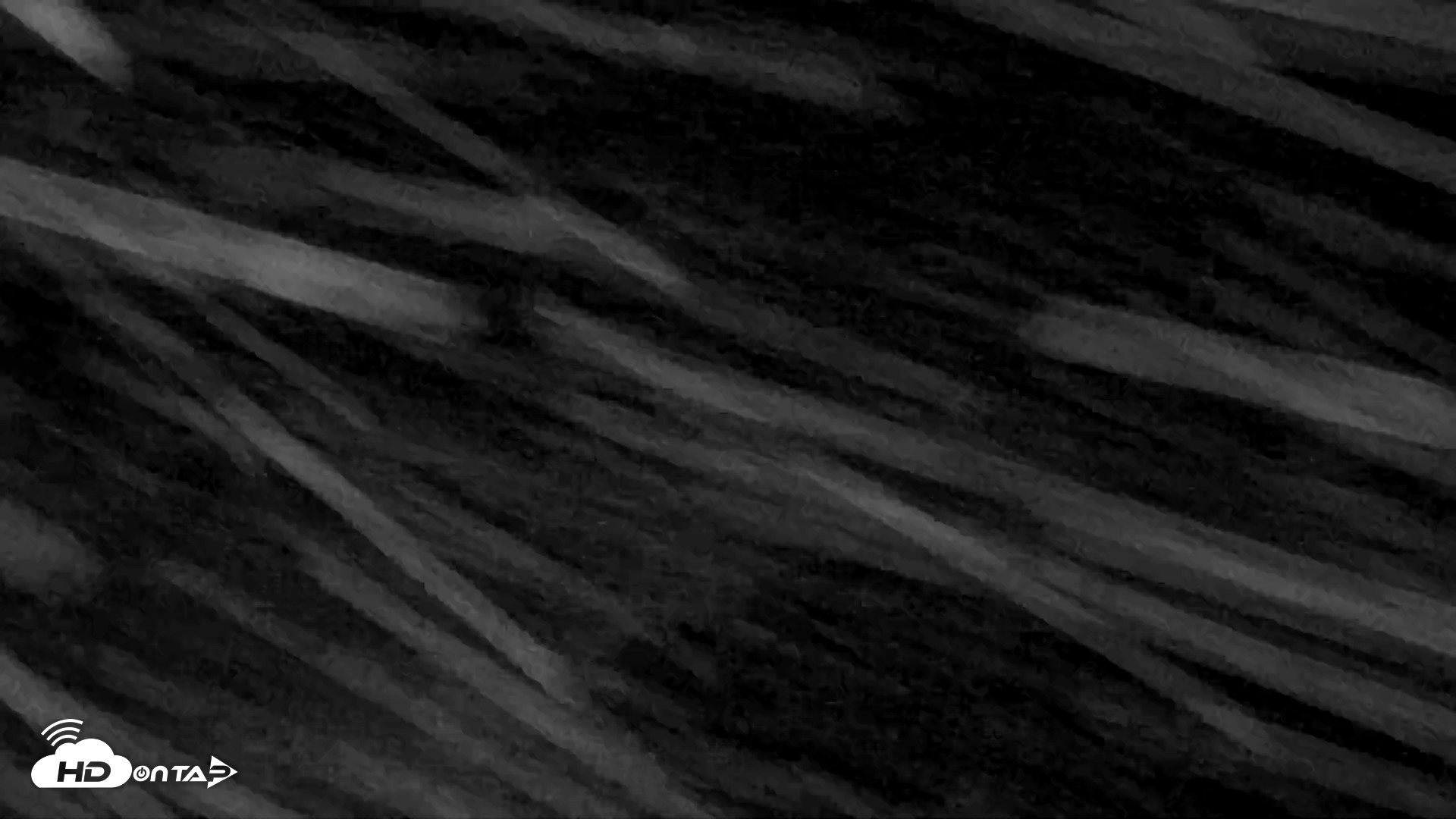 Snapshot of Kodiak Alaska Brown Bears Live Webcam taken Aug 18, 2026, 4:58am AKDT