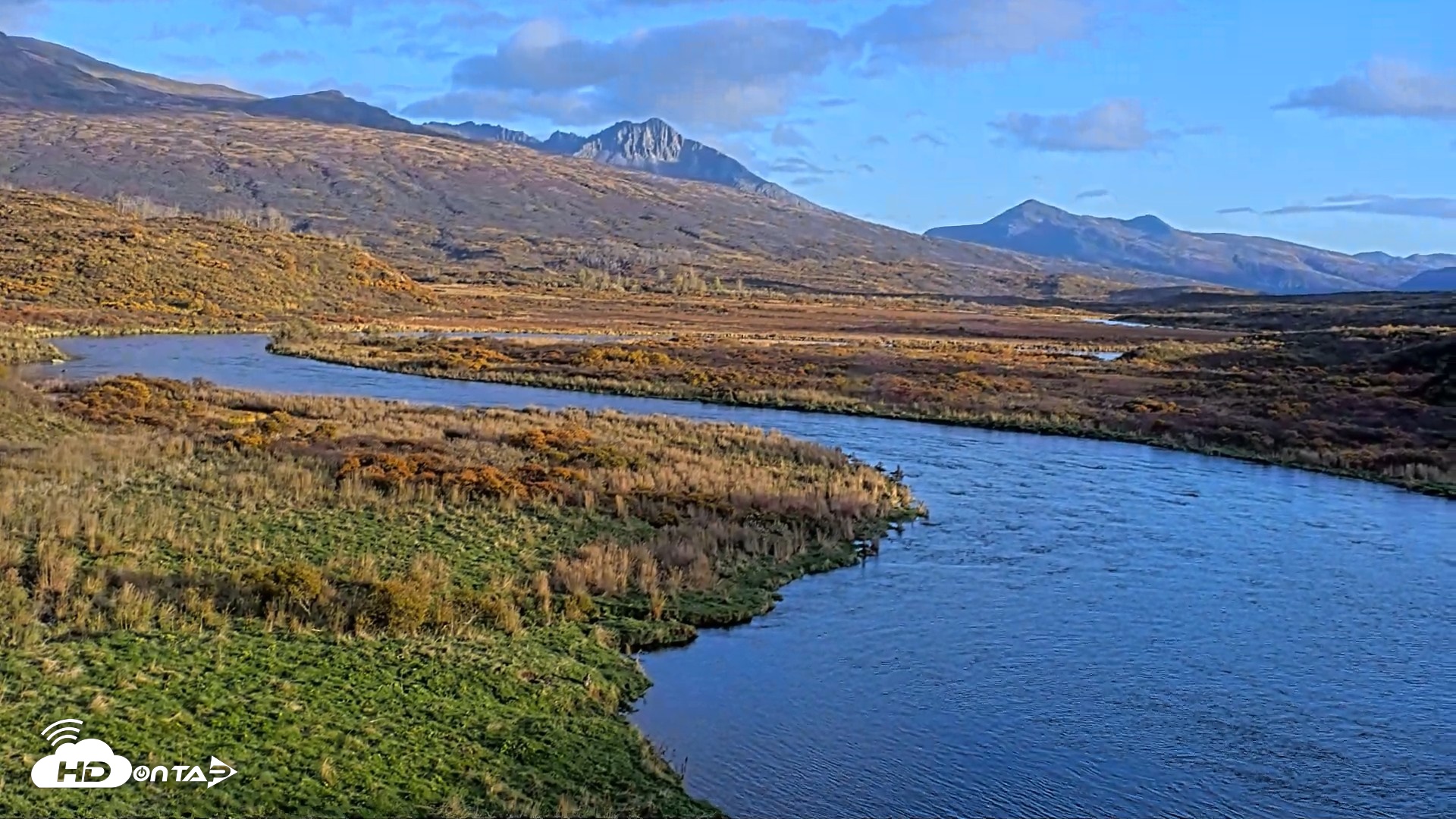 Snapshot of Kodiak Alaska Brown Bears Live Webcam taken Oct 7, 2026, 6:30pm AKDT