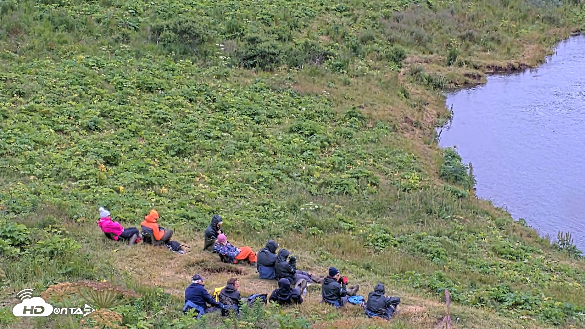 Snapshot of Kodiak Alaska Brown Bears Live Webcam taken Aug 3, 2026, 3:45pm AKDT