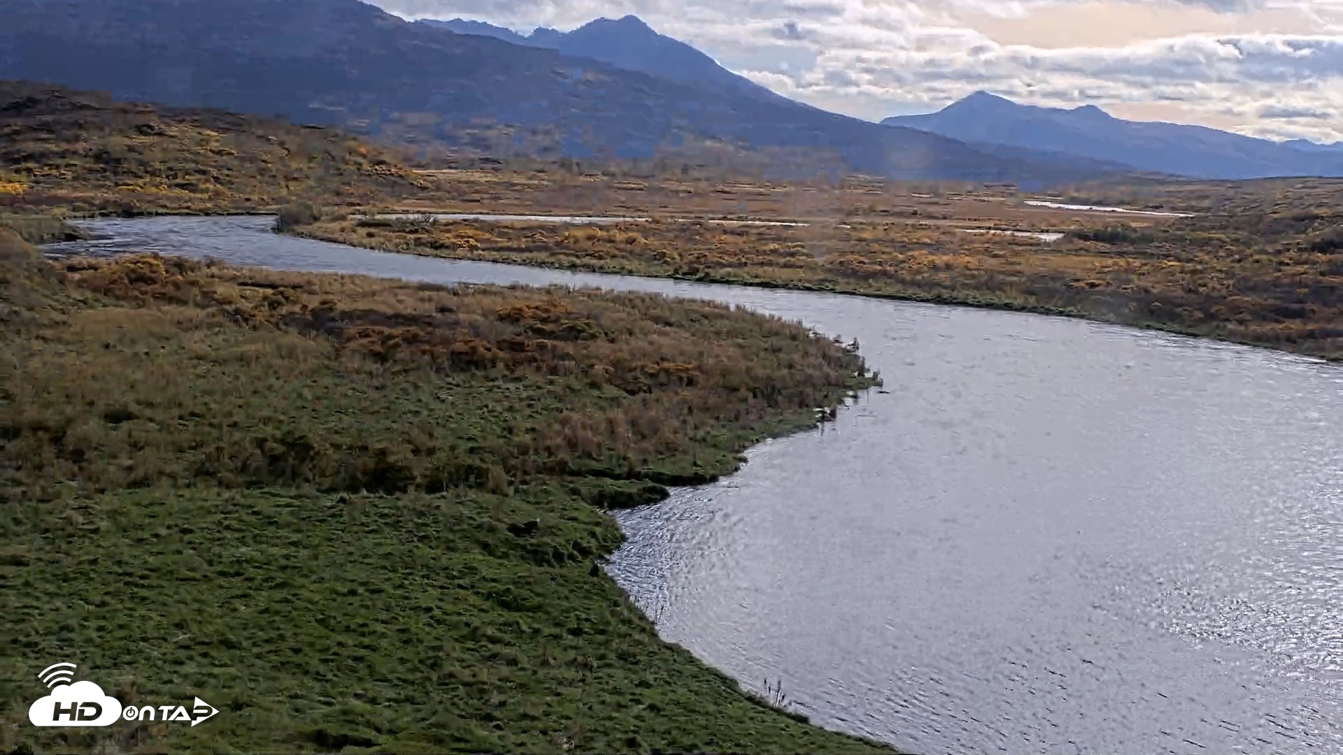 Snapshot of Kodiak Alaska Brown Bears Live Webcam taken Oct 8, 2026, 12:41pm AKDT