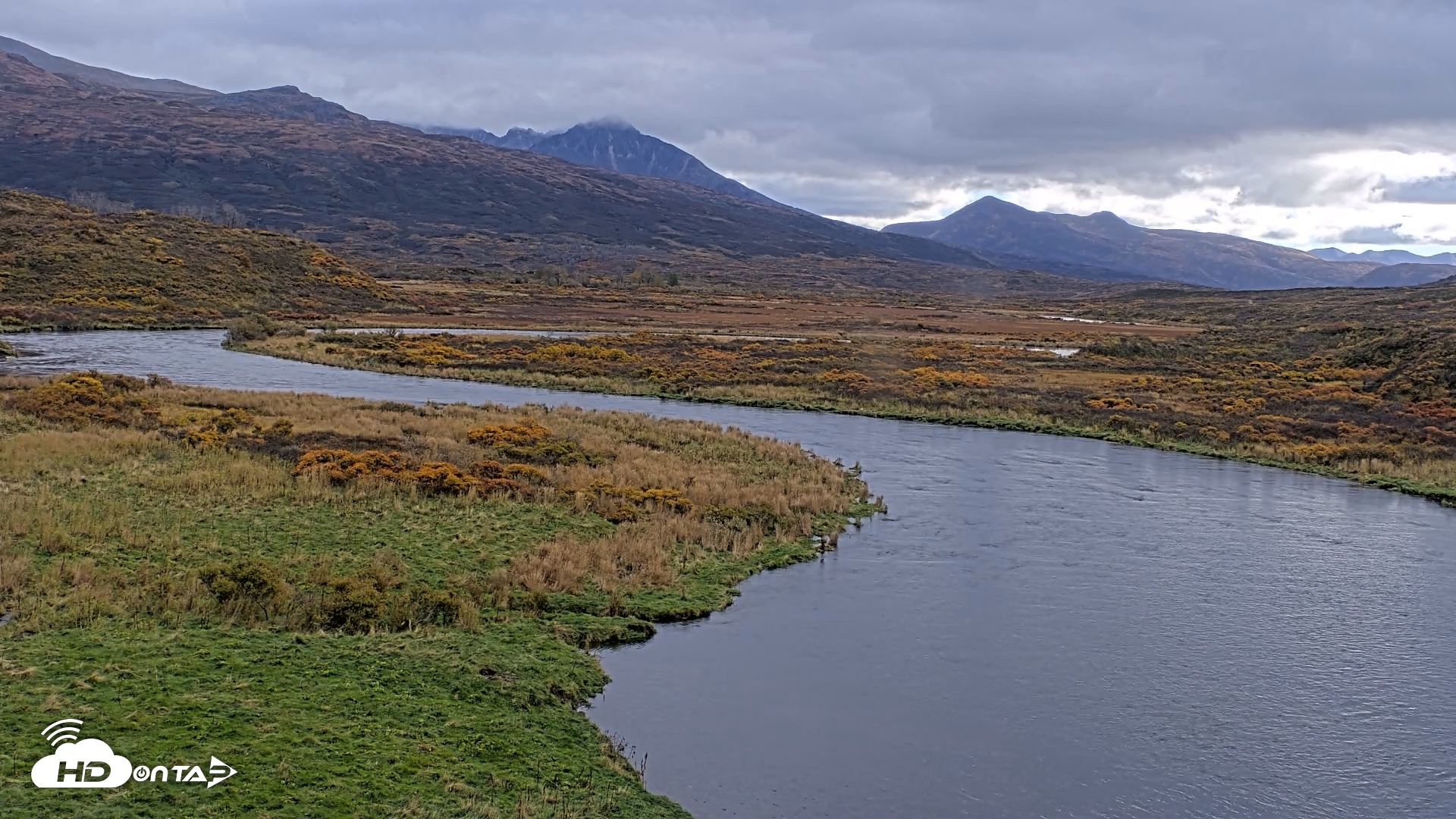 Snapshot of Kodiak Alaska Brown Bears Live Webcam taken Oct 6, 2026, 2:26pm AKDT