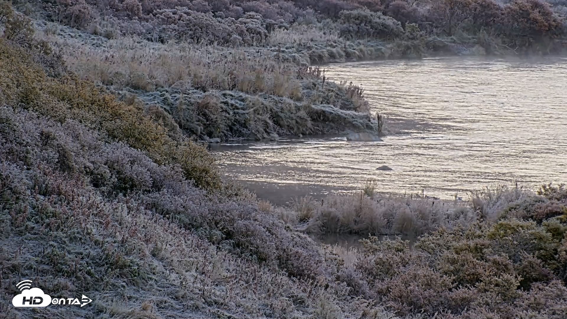 Snapshot of Kodiak Alaska Brown Bears Live Webcam taken Oct 2, 2026, 9:14am AKDT