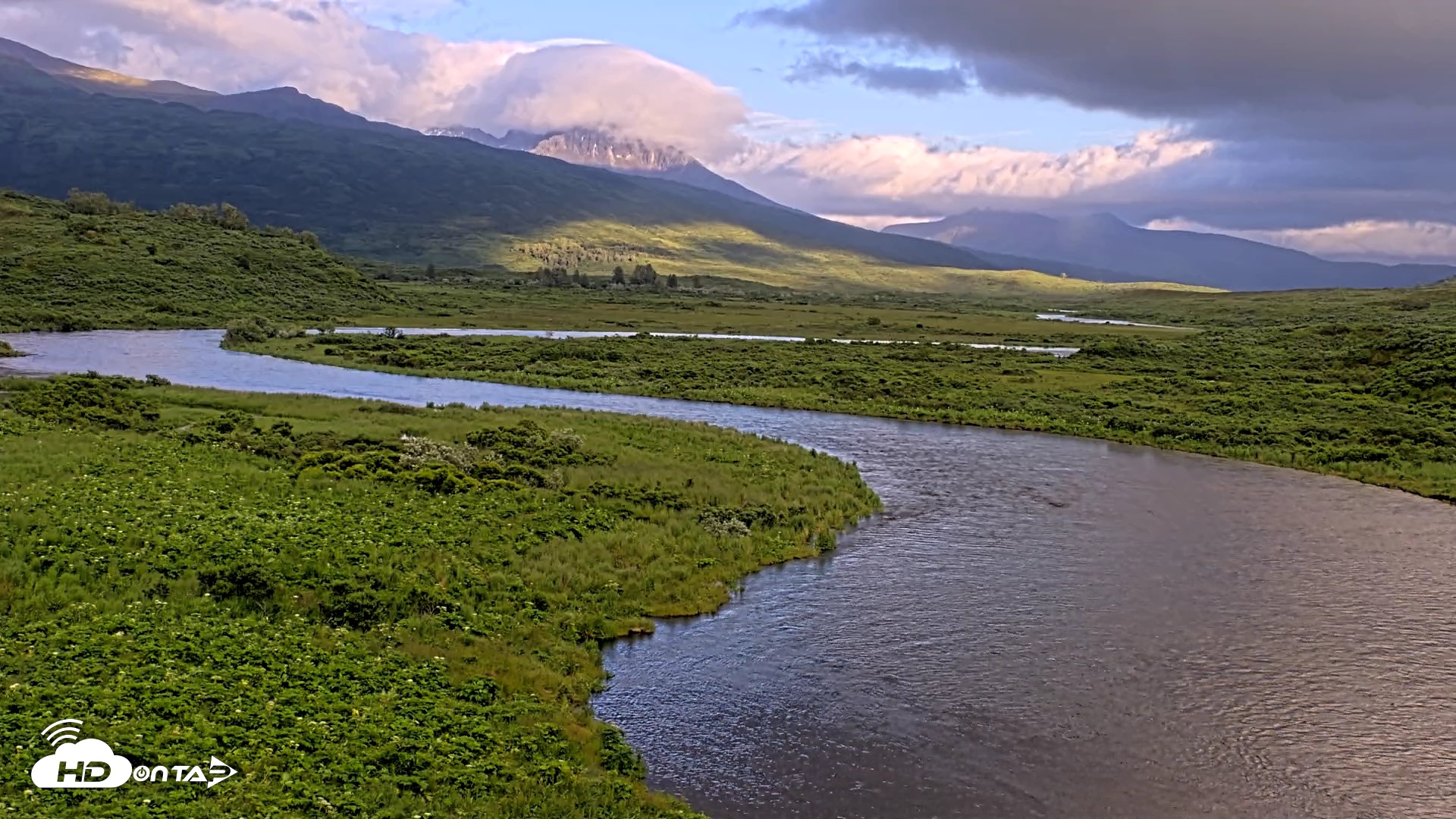 Snapshot of Kodiak Alaska Brown Bears Live Webcam taken Jul 23, 2026, 9:17pm AKDT