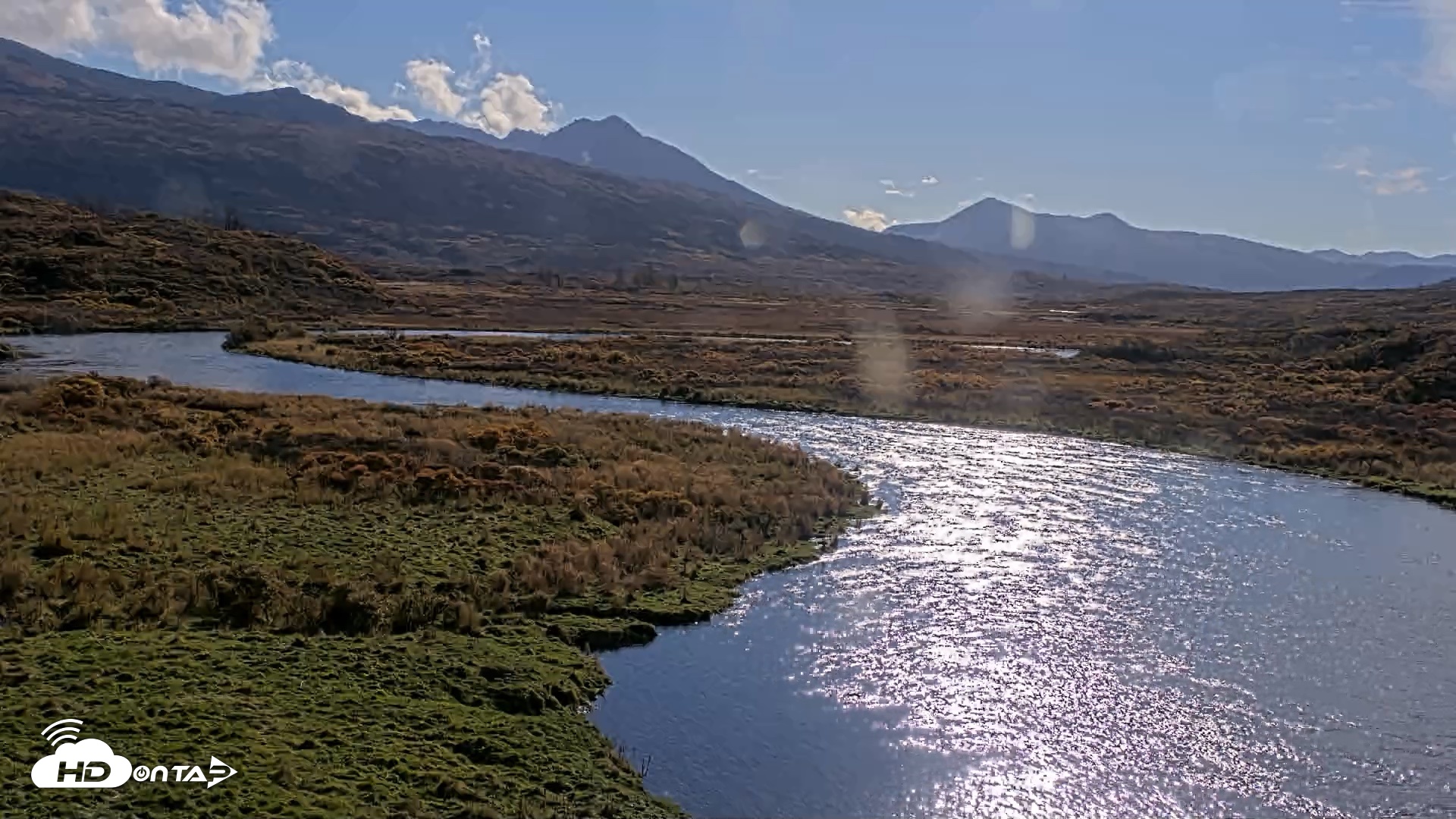 Snapshot of Kodiak Alaska Brown Bears Live Webcam taken Oct 8, 2026, 11:44am AKDT