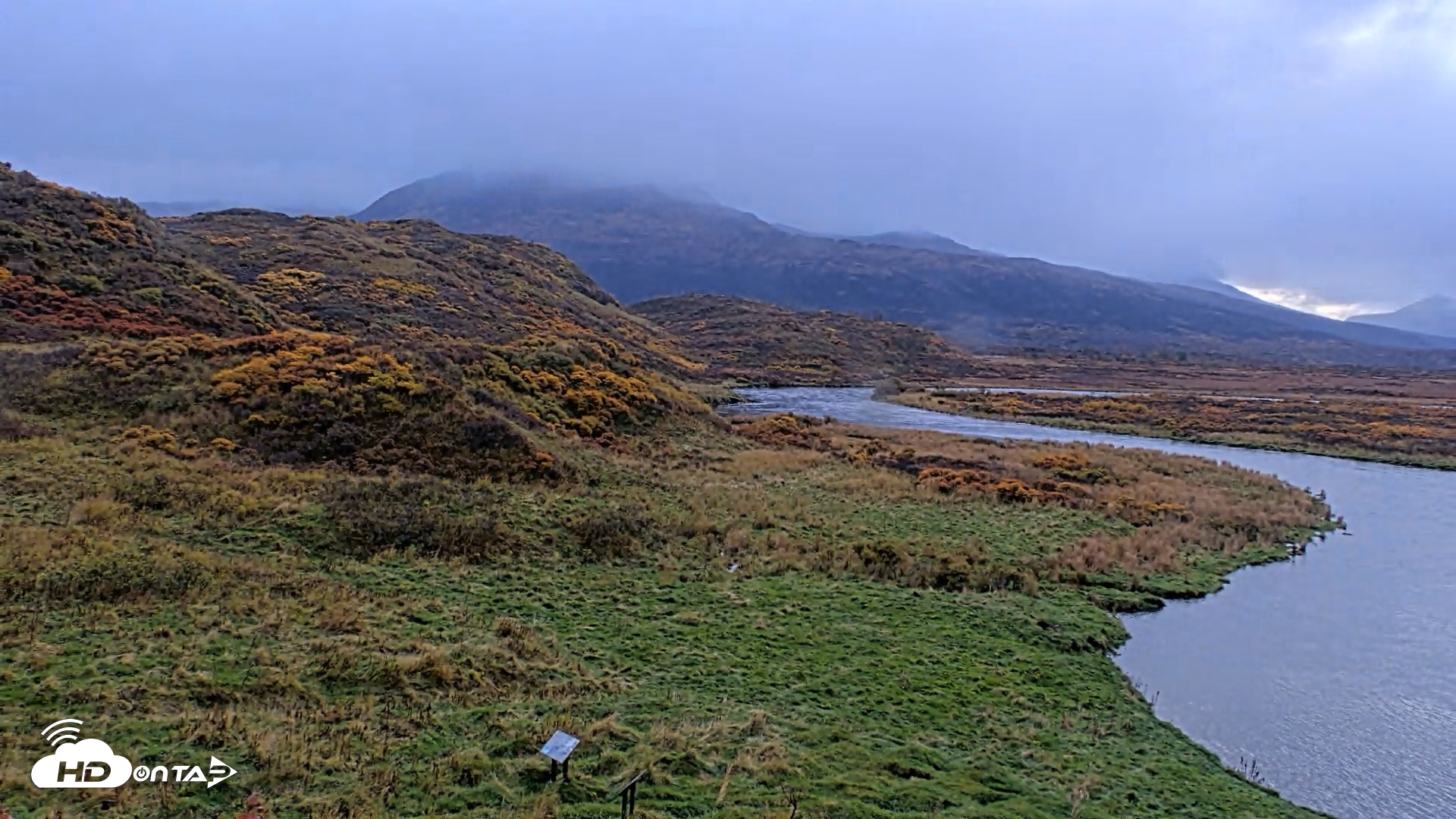 Snapshot of Kodiak Alaska Brown Bears Live Webcam taken Oct 8, 2026, 10:08am AKDT