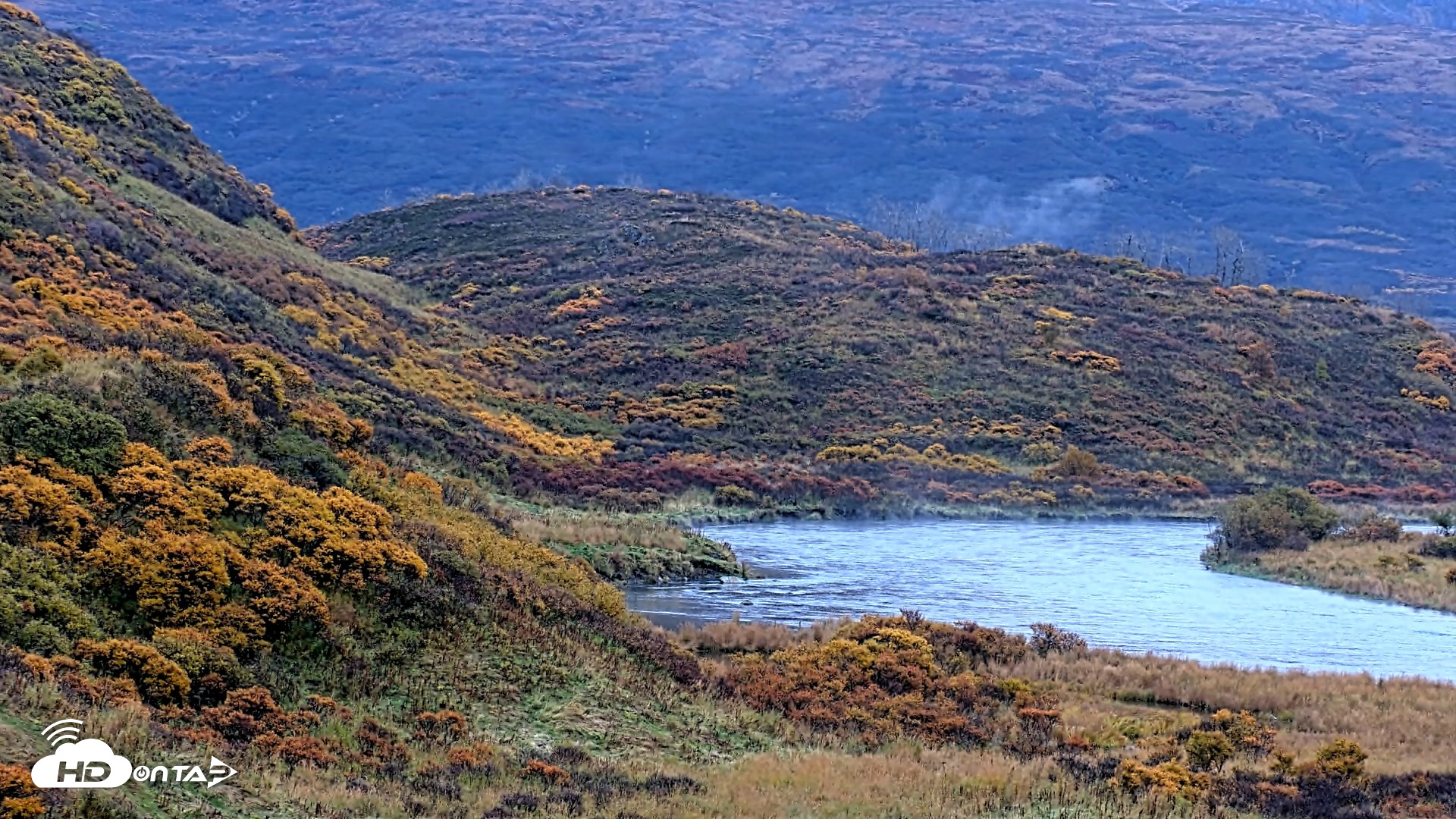 Snapshot of Kodiak Alaska Brown Bears Live Webcam taken Oct 8, 2026, 8:45am AKDT