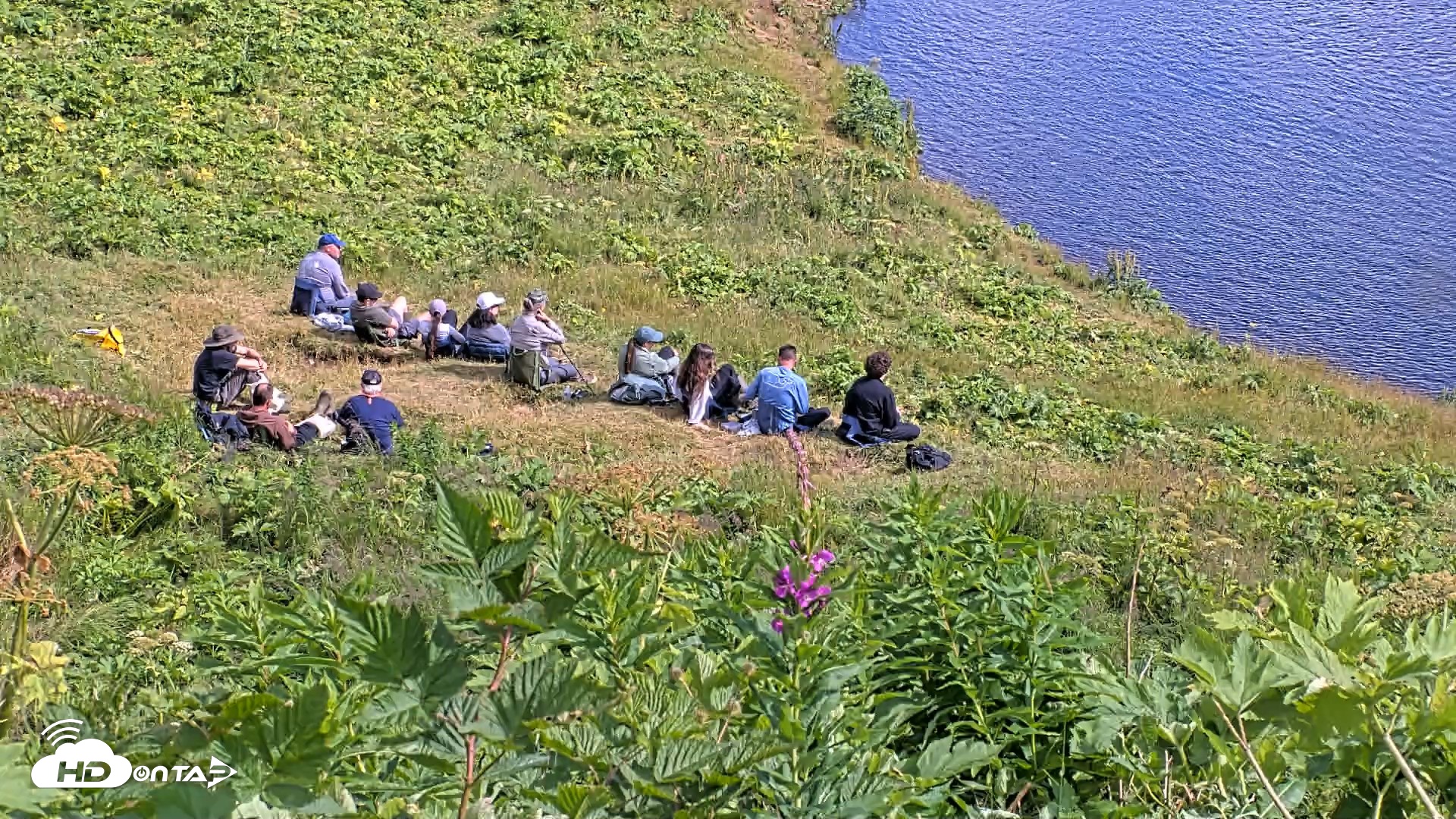 Snapshot of Kodiak Alaska Brown Bears Live Webcam taken Aug 2, 2026, 4:48pm AKDT
