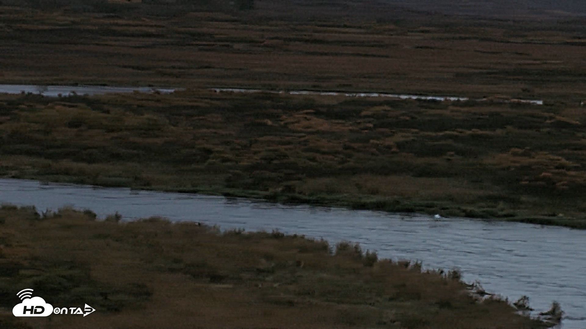 Snapshot of Kodiak Alaska Brown Bears Live Webcam taken Oct 5, 2026, 7:57am AKDT