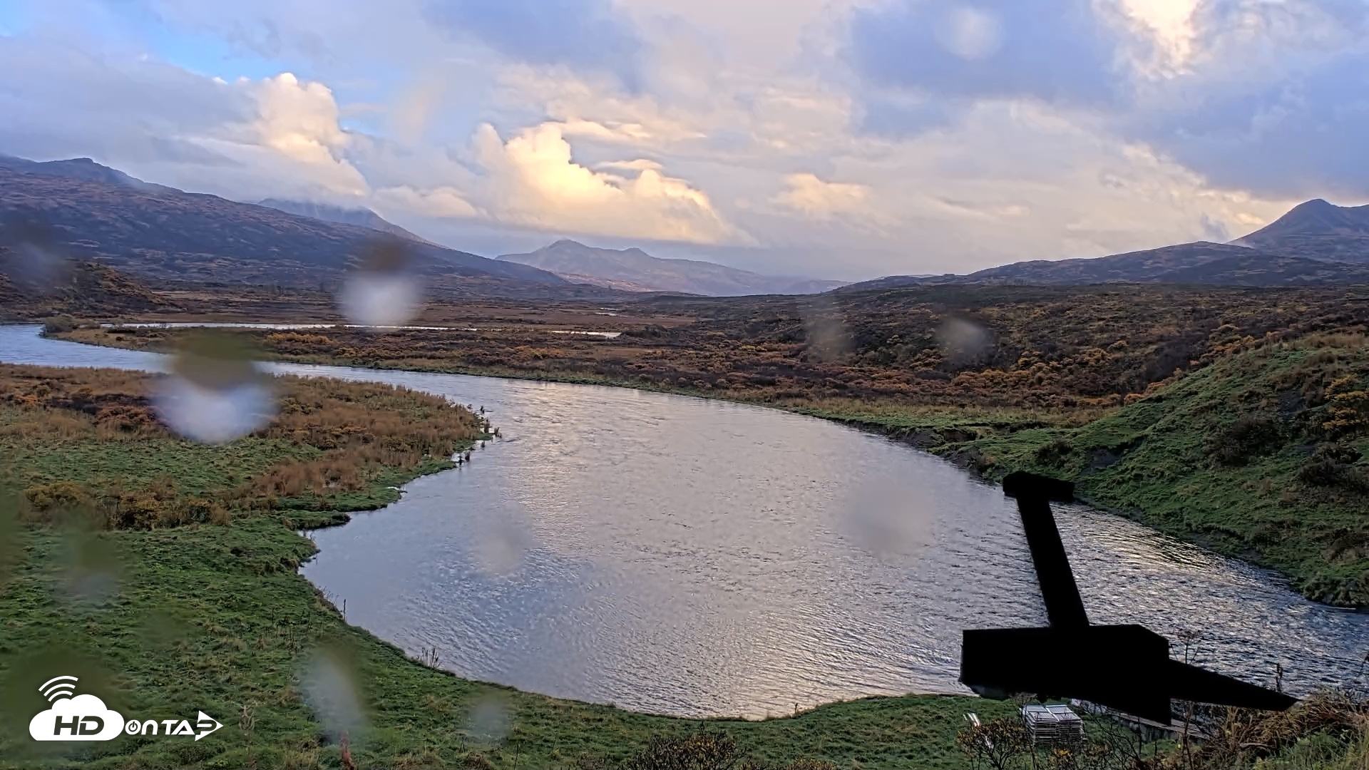 Snapshot of Kodiak Alaska Brown Bears Live Webcam taken Oct 12, 2026, 6:33pm AKDT