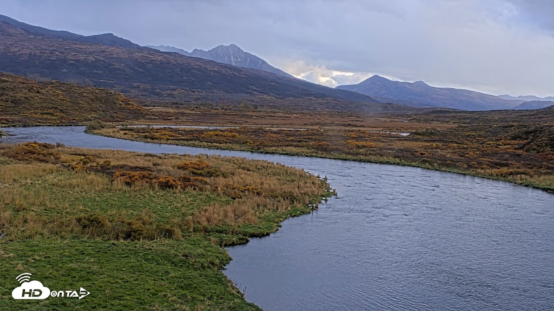 Snapshot of Kodiak Alaska Brown Bears Live Webcam taken Oct 8, 2026, 5:42pm AKDT