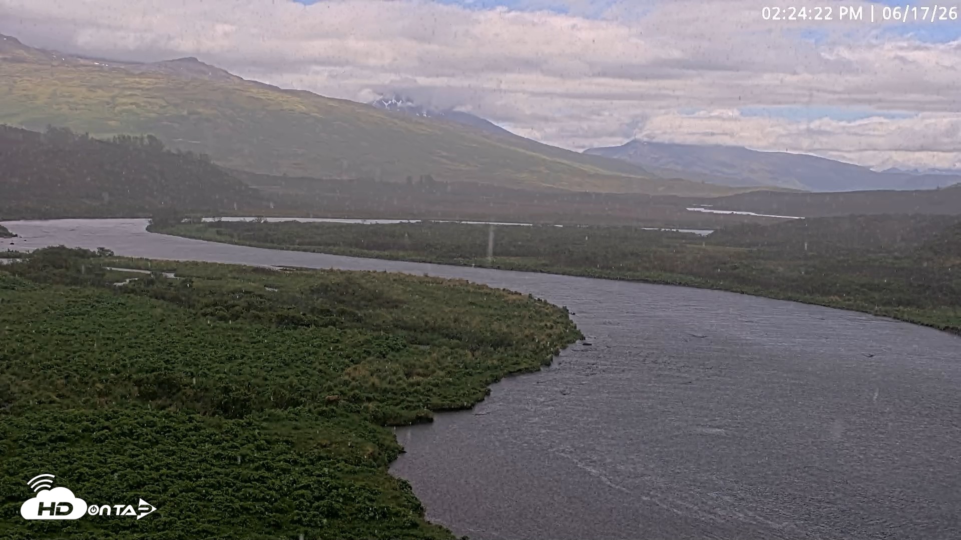 Snapshot of Kodiak Alaska Brown Bears Live Webcam taken Jun 17, 2026, 2:25pm AKDT