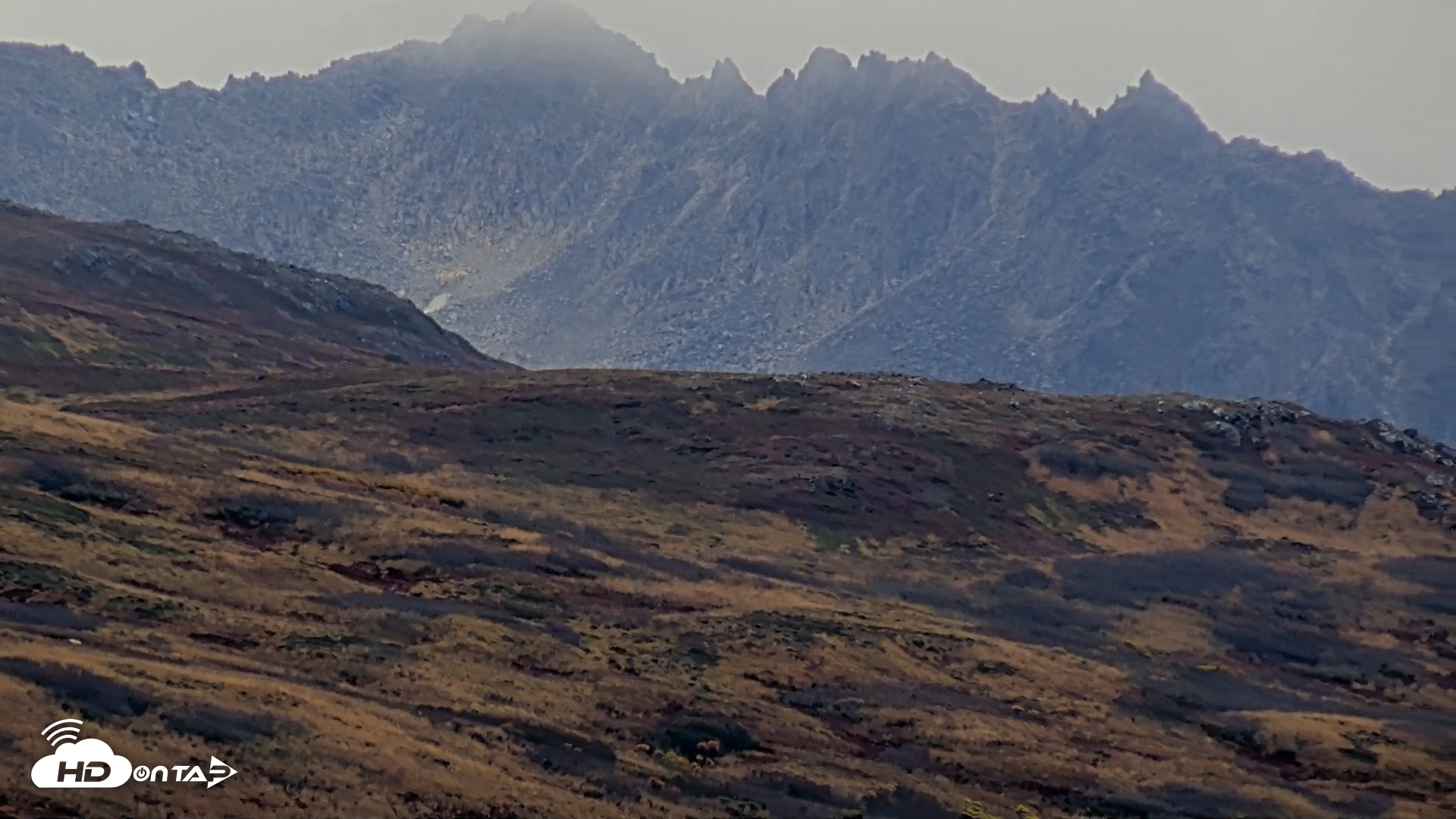 Snapshot of Kodiak Alaska Brown Bears Live Webcam taken Oct 6, 2026, 2:18pm AKDT