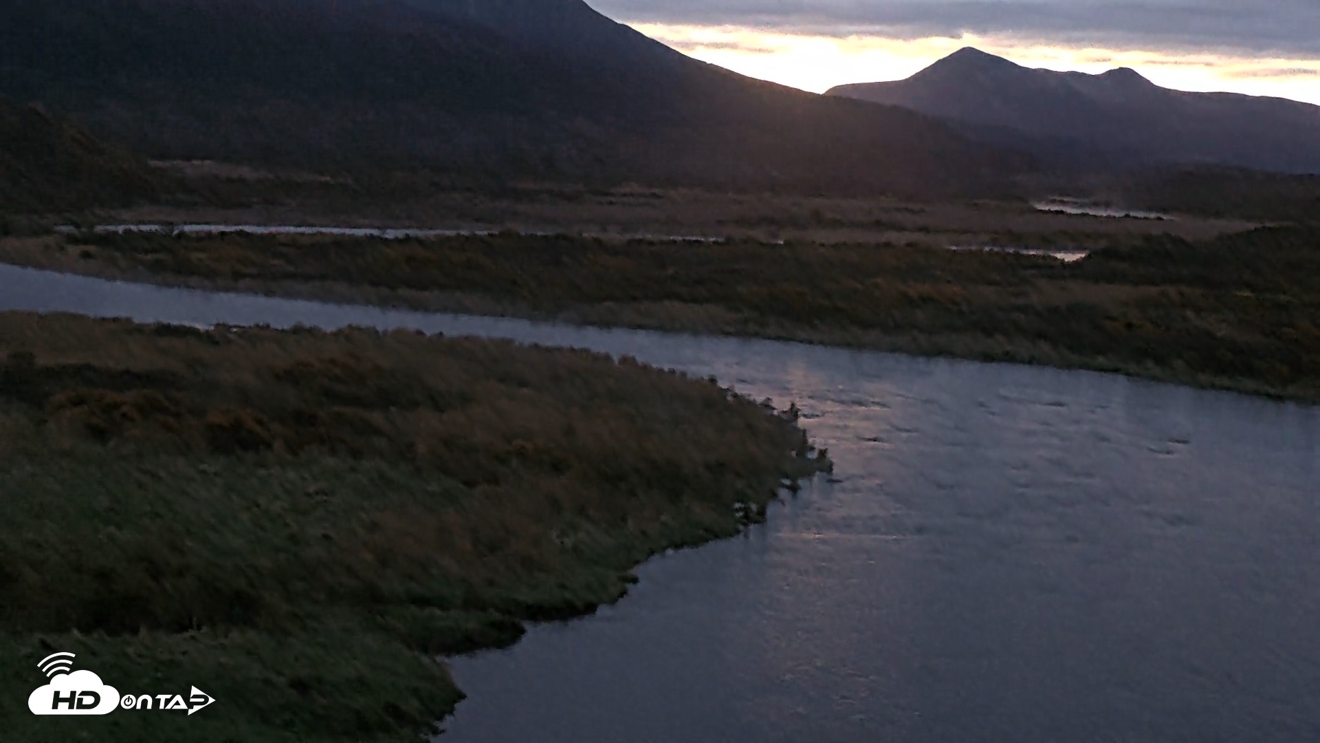 Snapshot of Kodiak Alaska Brown Bears Live Webcam taken Oct 8, 2026, 8:00am AKDT