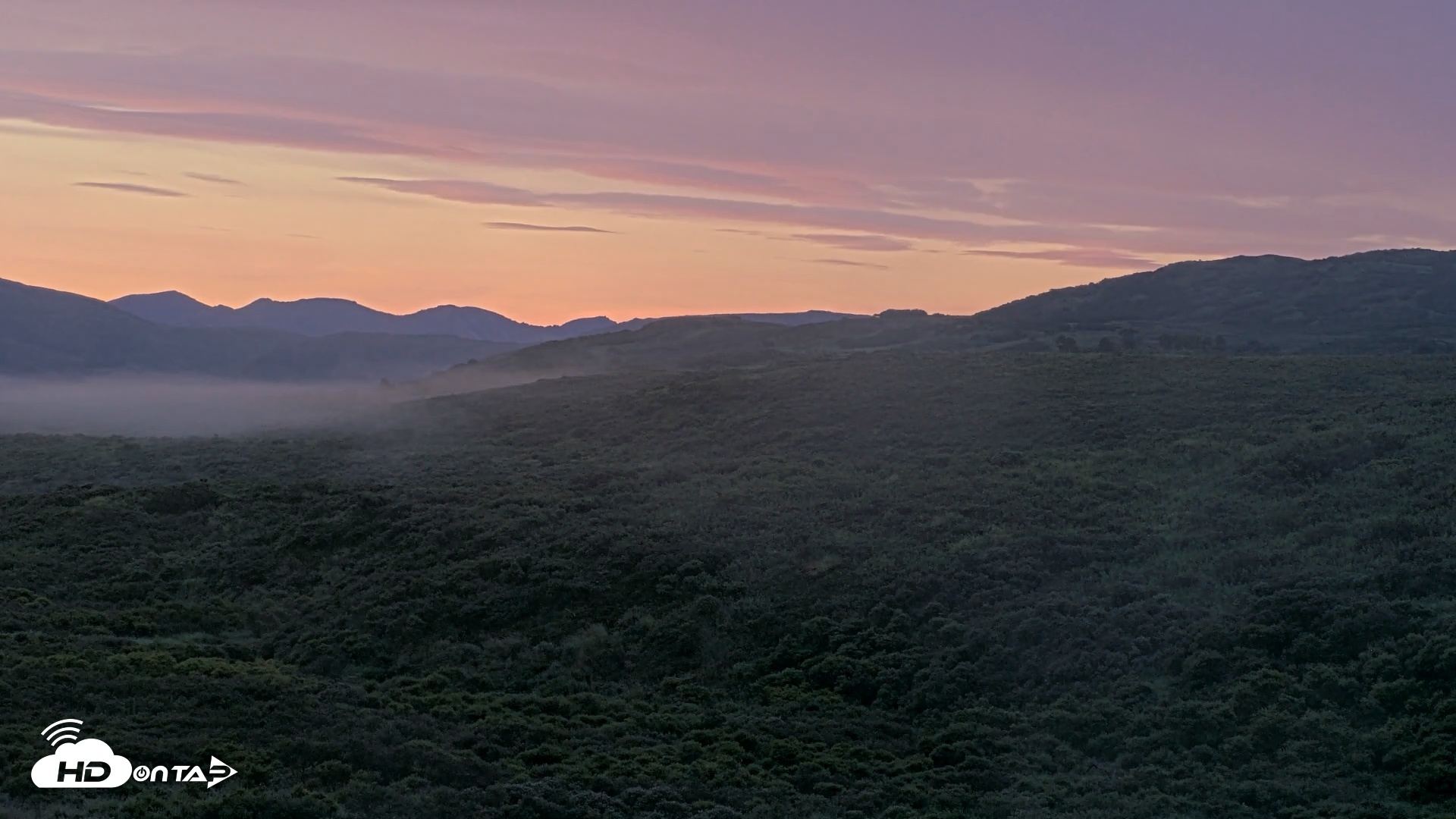 Snapshot of Kodiak Alaska Brown Bears Live Webcam taken Aug 24, 2026, 7:03am AKDT