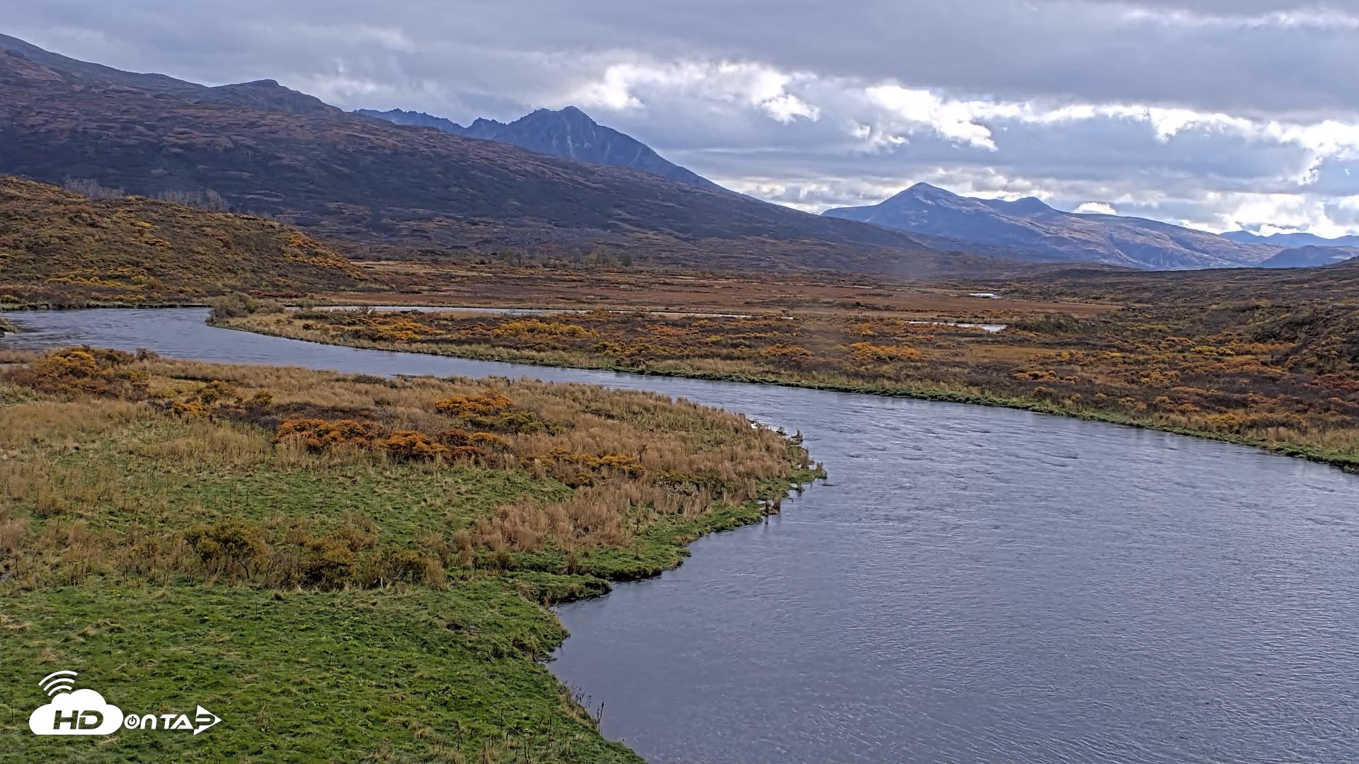 Snapshot of Kodiak Alaska Brown Bears Live Webcam taken Oct 8, 2026, 2:04pm AKDT