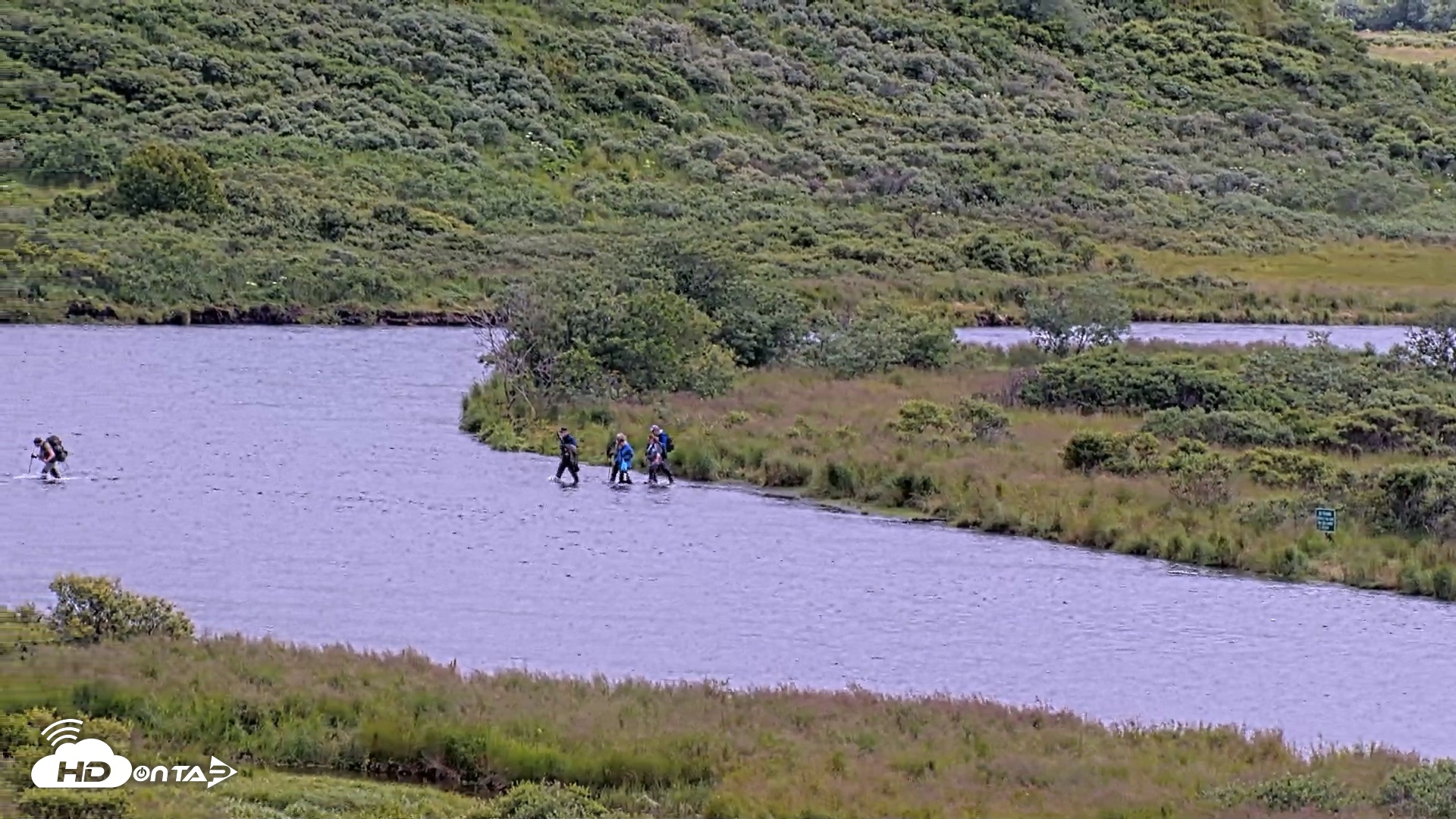 Snapshot of Kodiak Alaska Brown Bears Live Webcam taken Aug 6, 2026, 2:12pm AKDT