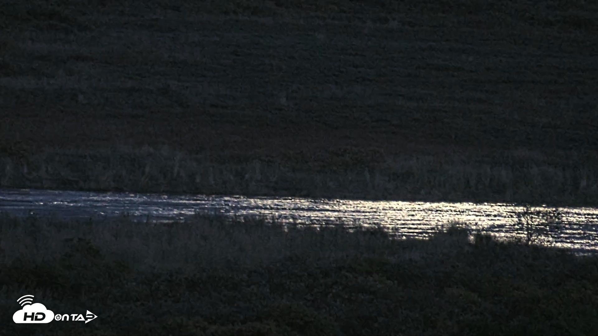 Snapshot of Kodiak Alaska Brown Bears Live Webcam taken Sep 23, 2026, 8:52pm AKDT