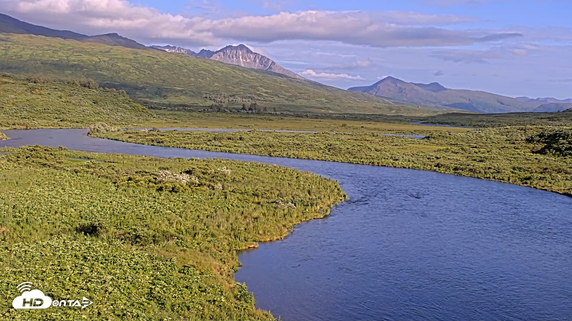Snapshot of Kodiak Alaska Brown Bears Live Webcam taken Jul 25, 2026, 7:51pm AKDT