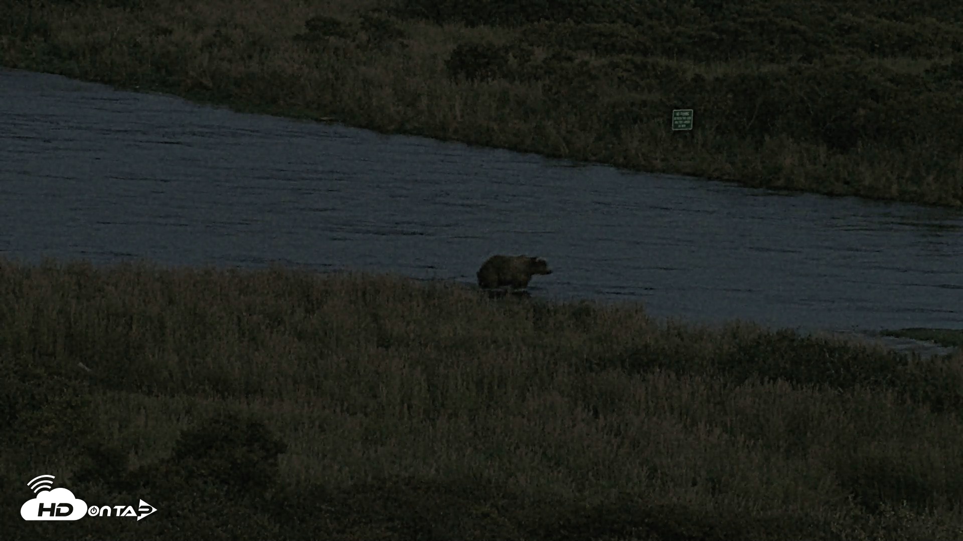 Snapshot of Kodiak Alaska Brown Bears Live Webcam taken Sep 16, 2026, 9:04pm AKDT
