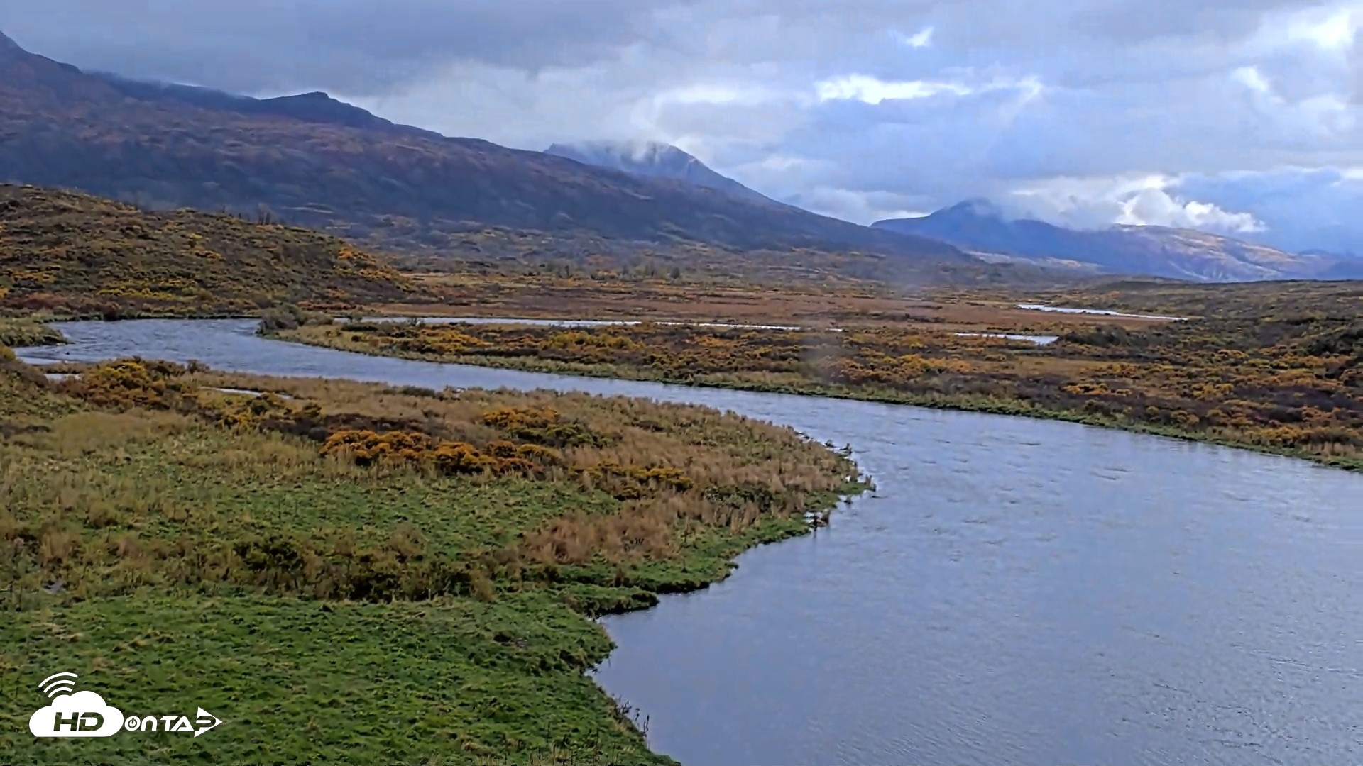 Snapshot of Kodiak Alaska Brown Bears Live Webcam taken Oct 5, 2026, 3:56pm AKDT