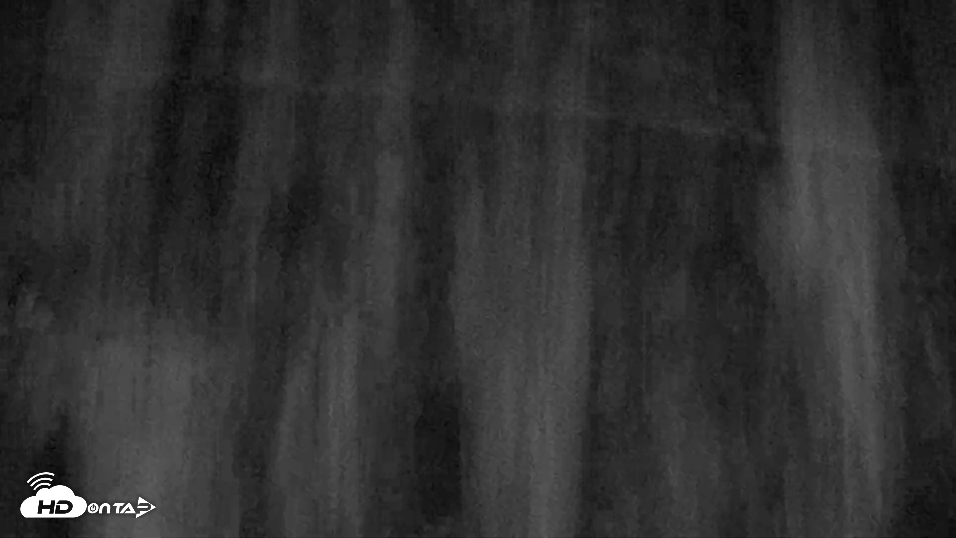 Snapshot of Kodiak Alaska Brown Bears Live Webcam taken Oct 5, 2026, 5:28am AKDT