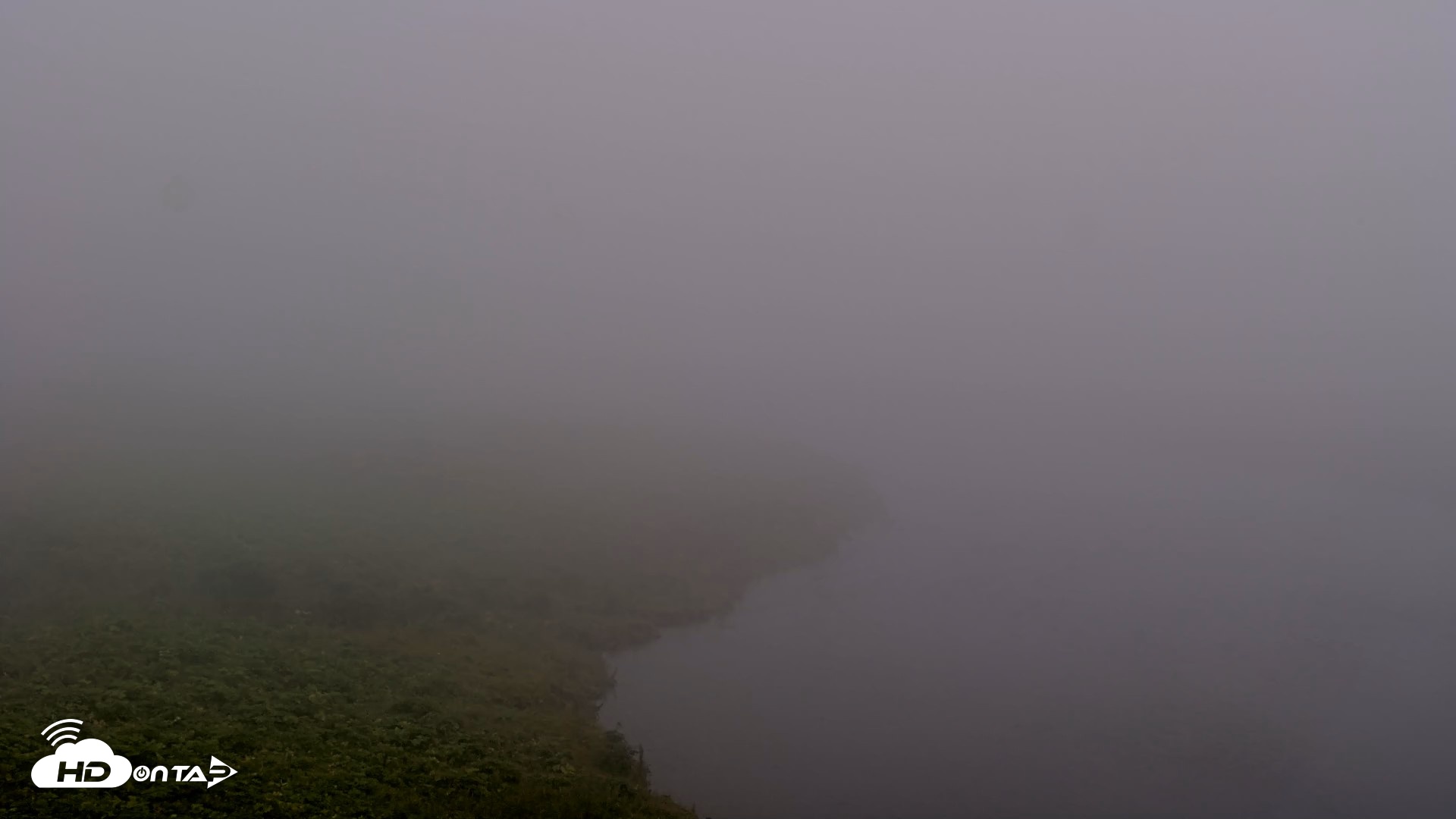 Snapshot of Kodiak Alaska Brown Bears Live Webcam taken Aug 10, 2026, 7:47am AKDT