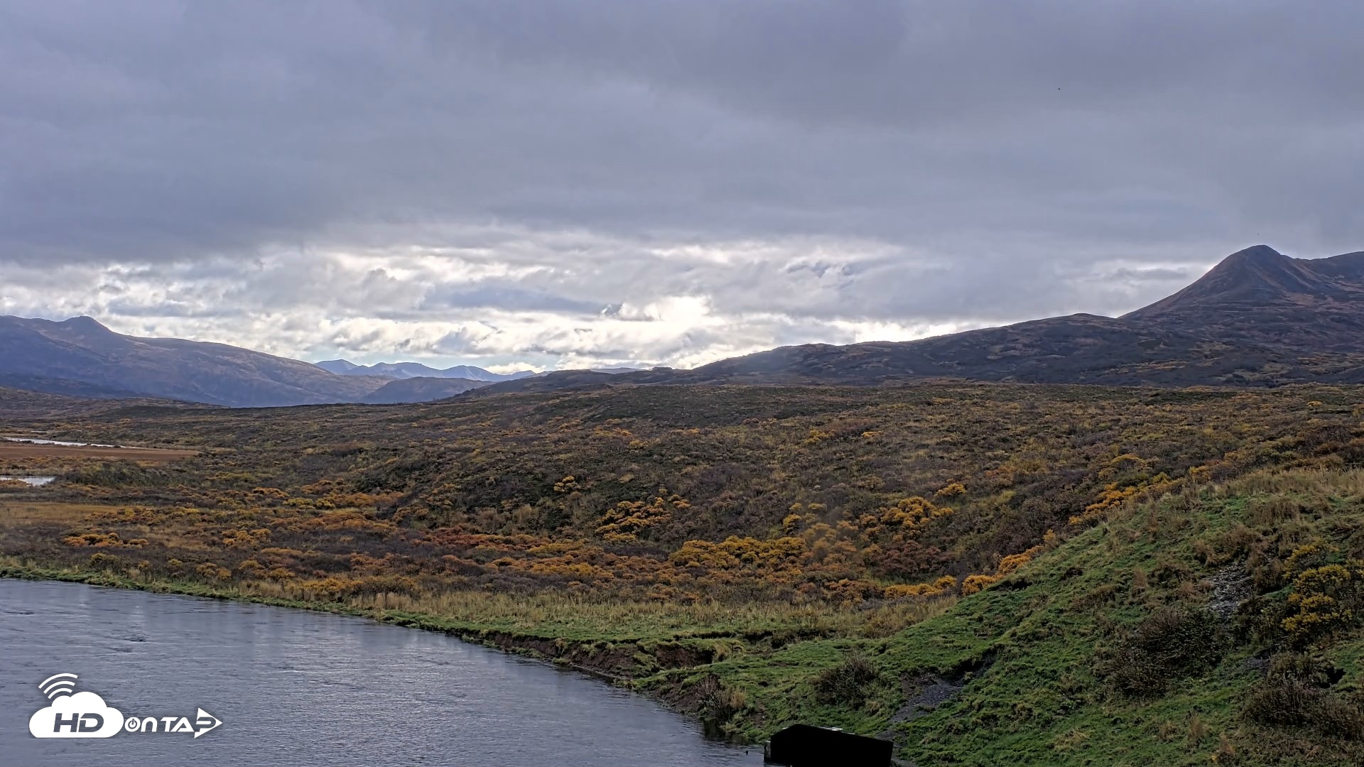 Snapshot of Kodiak Alaska Brown Bears Live Webcam taken Oct 6, 2026, 2:21pm AKDT