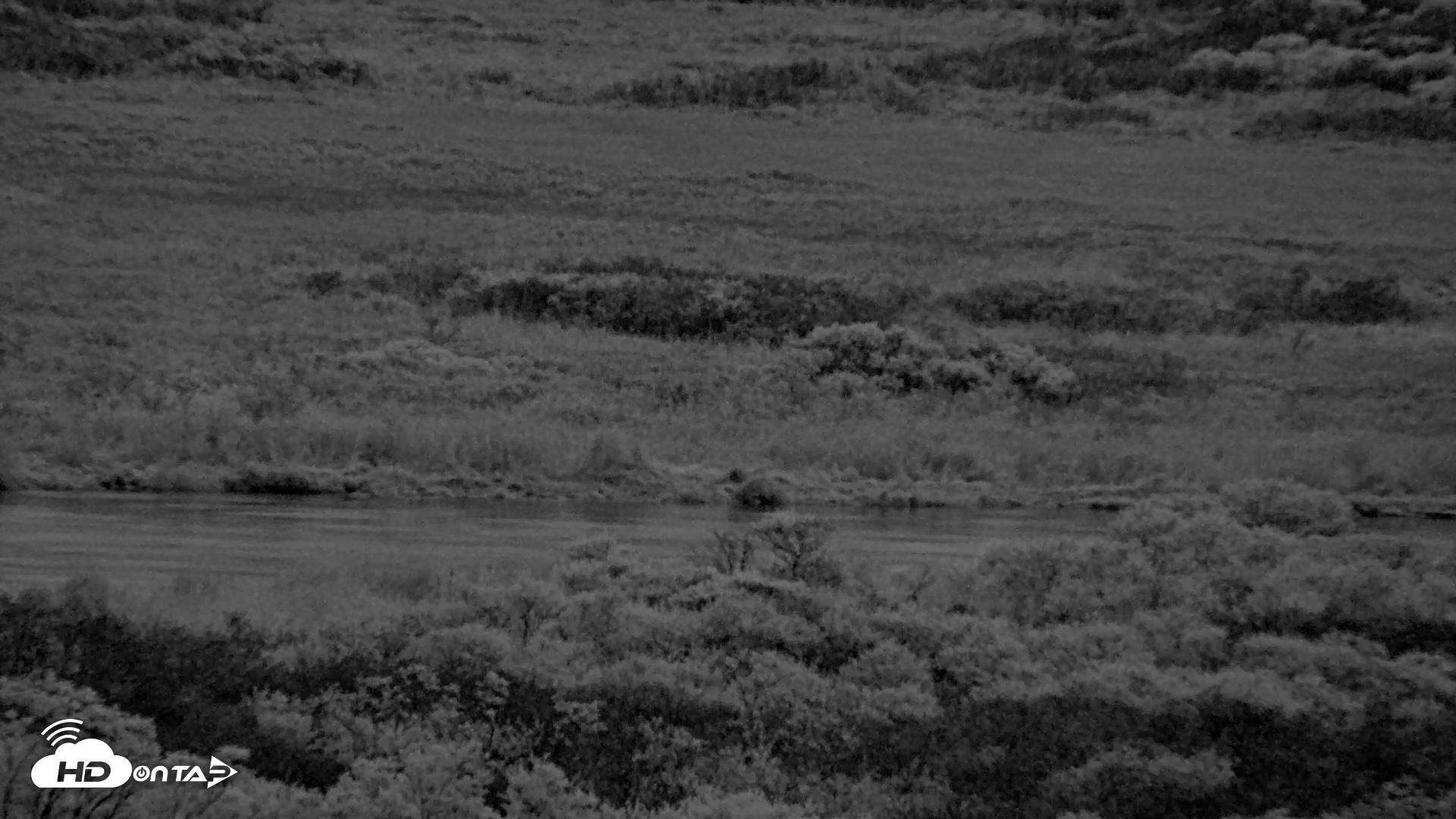 Snapshot of Kodiak Alaska Brown Bears Live Webcam taken Oct 4, 2026, 8:09pm AKDT