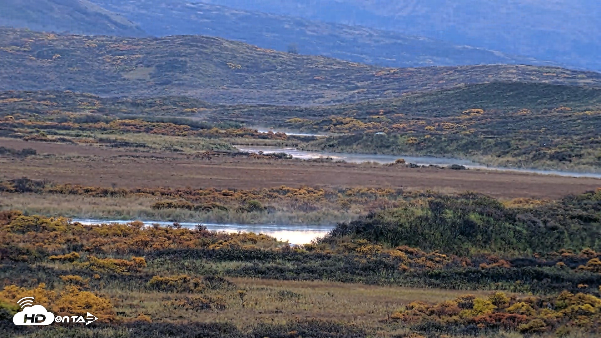 Snapshot of Kodiak Alaska Brown Bears Live Webcam taken Oct 8, 2026, 8:51am AKDT