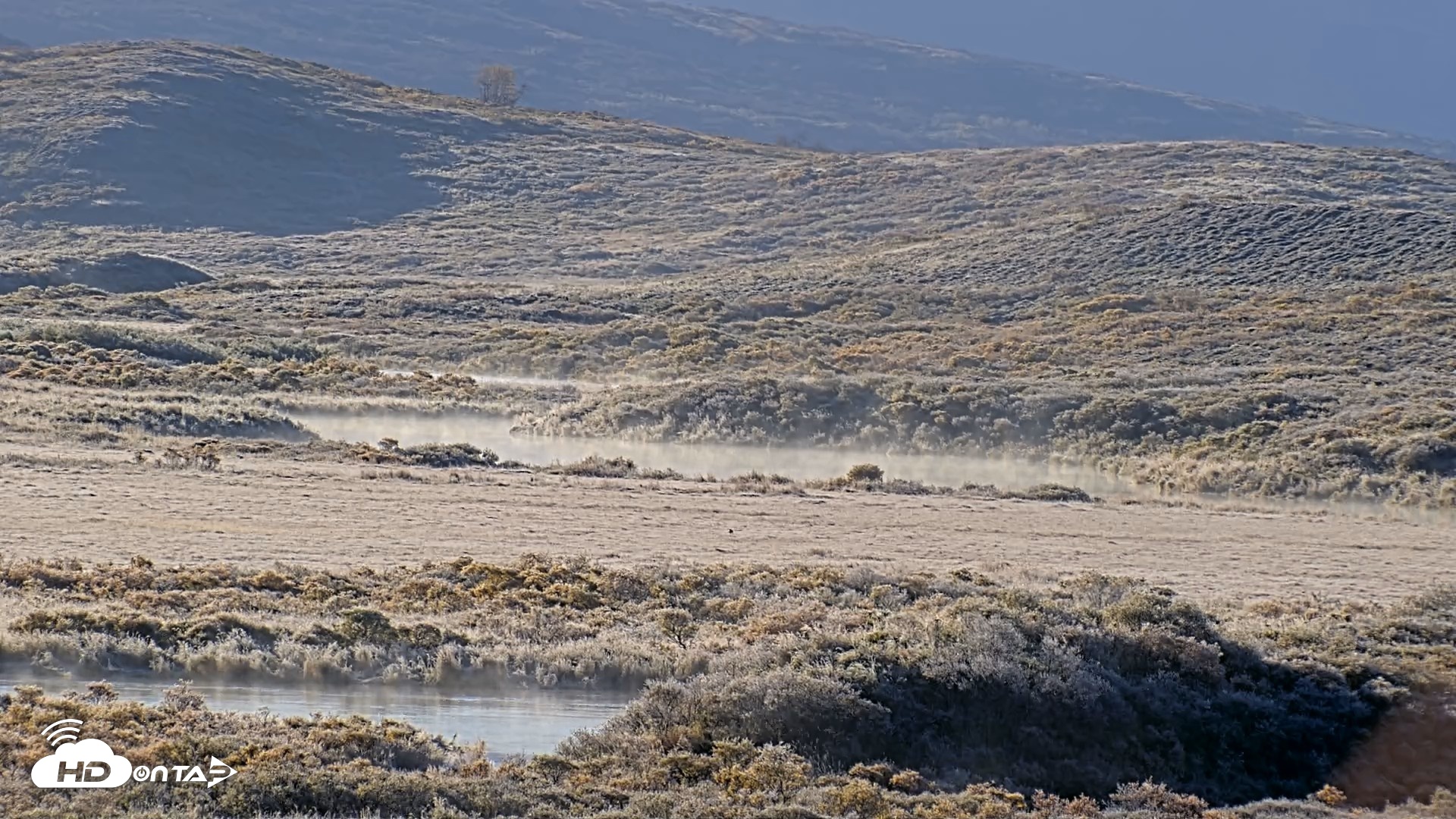 Snapshot of Kodiak Alaska Brown Bears Live Webcam taken Oct 1, 2026, 9:59am AKDT