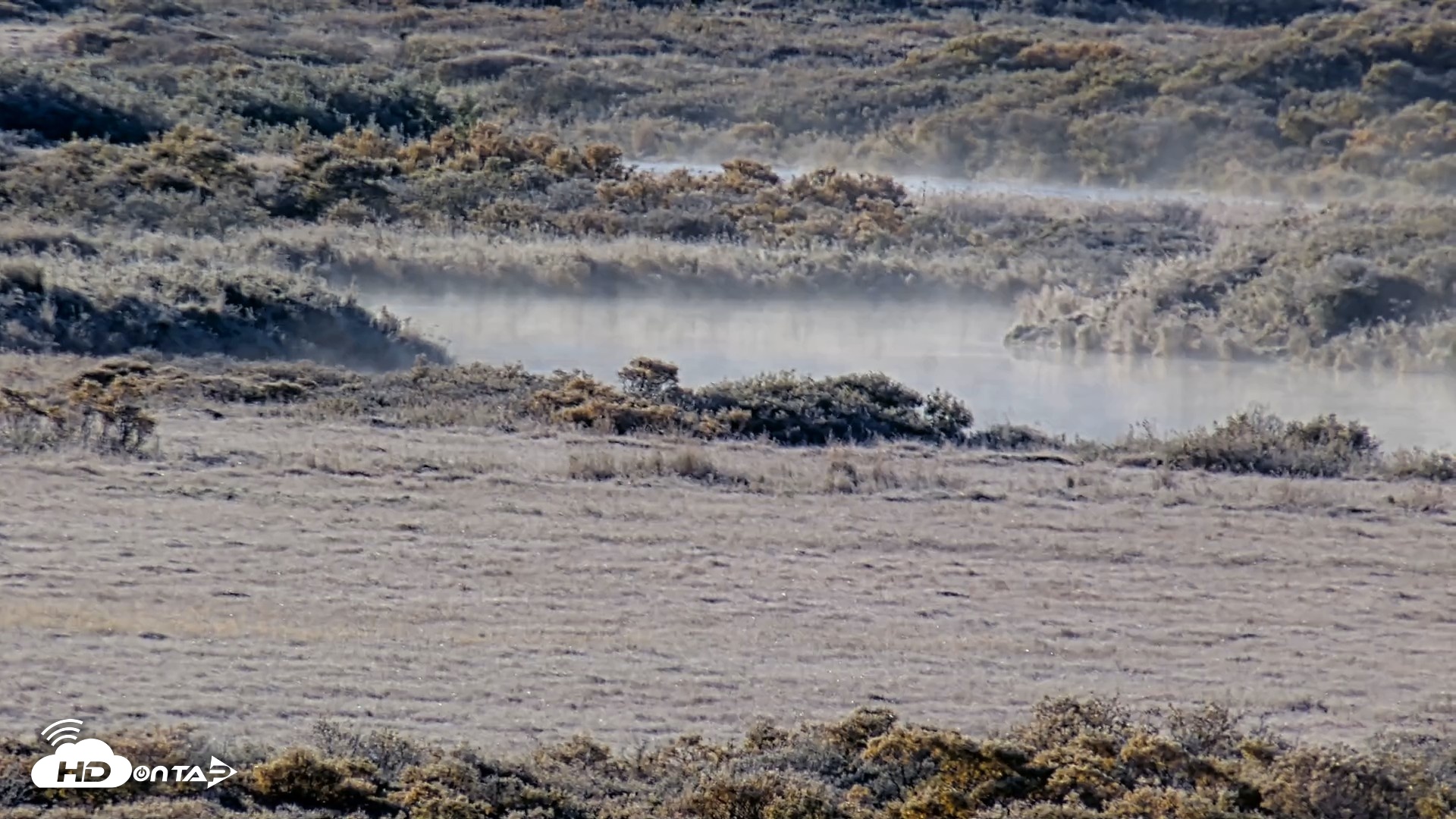 Snapshot of Kodiak Alaska Brown Bears Live Webcam taken Oct 1, 2026, 9:59am AKDT