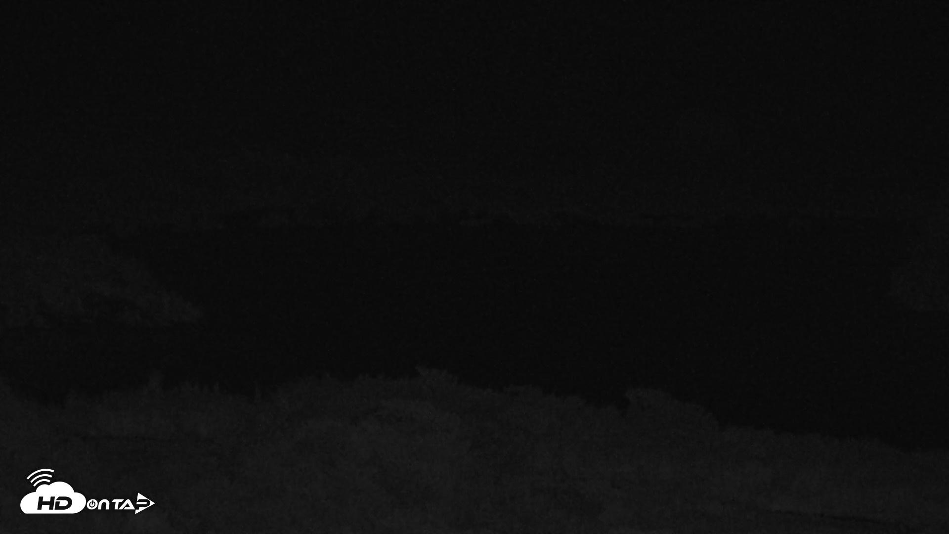 Snapshot of Kodiak Alaska Brown Bears Live Webcam taken Aug 21, 2026, 5:47am AKDT