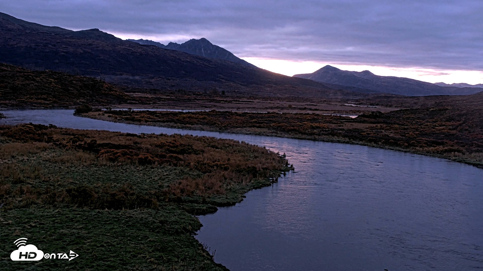 Snapshot of Kodiak Alaska Brown Bears Live Webcam taken Oct 8, 2026, 8:04am AKDT