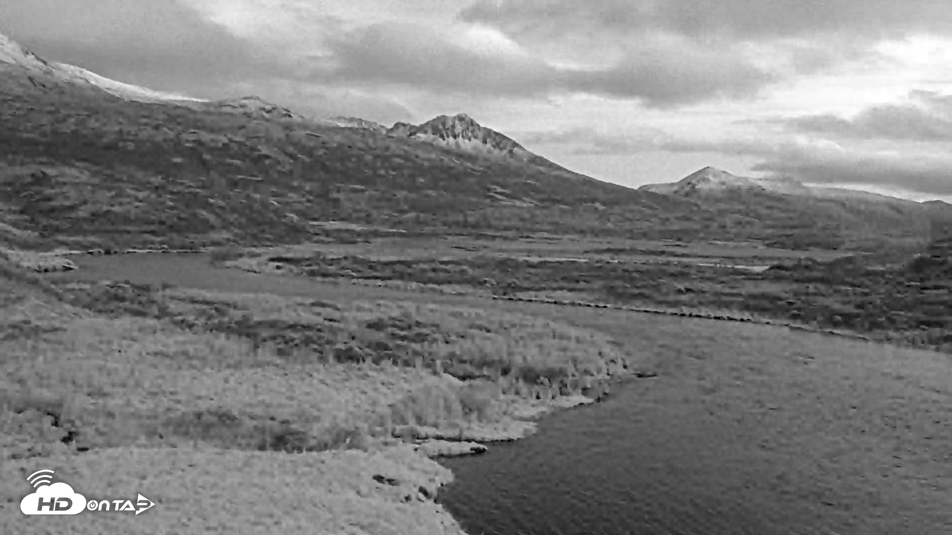 Snapshot of Kodiak Alaska Brown Bears Live Webcam taken Oct 21, 2026, 7:42pm AKDT