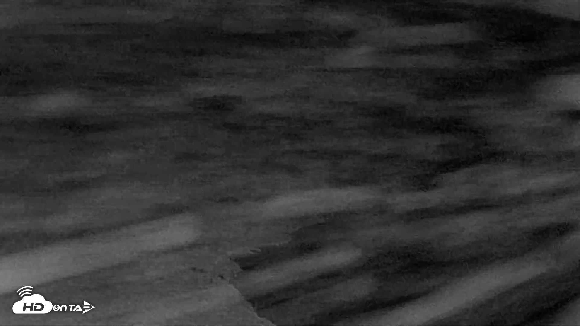 Snapshot of Kodiak Alaska Brown Bears Live Webcam taken Oct 13, 2026, 8:43pm AKDT