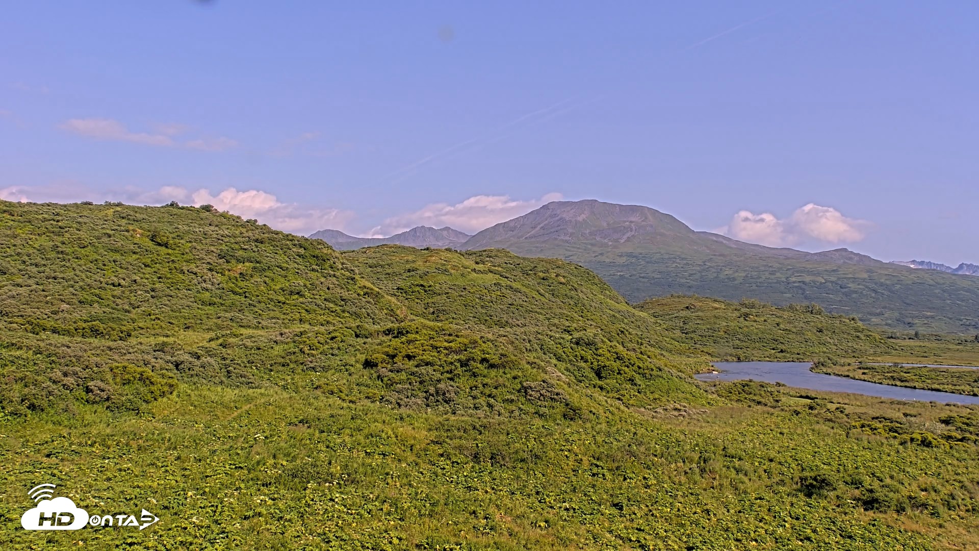Snapshot of Kodiak Alaska Brown Bears Live Webcam taken Aug 8, 2026, 5:19pm AKDT