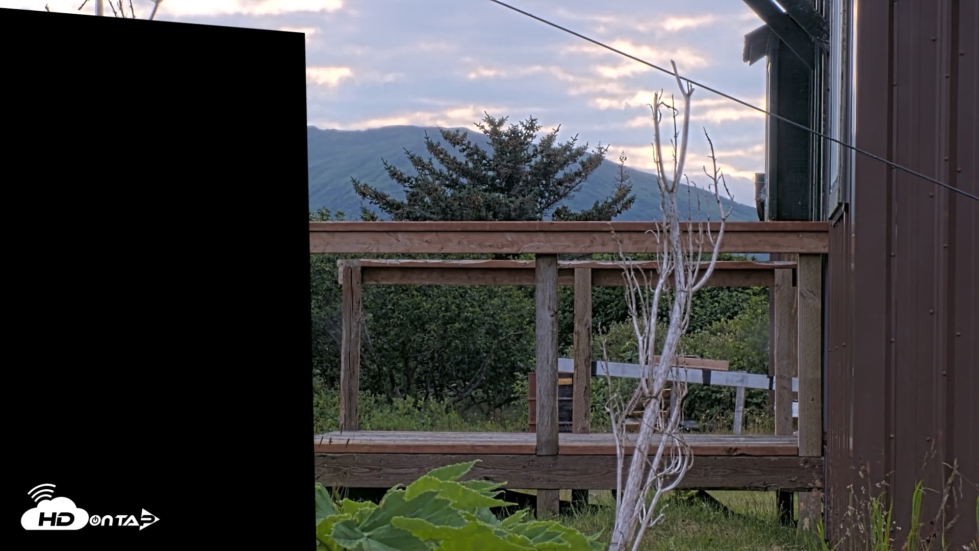 Snapshot of Kodiak Alaska Brown Bears Live Webcam taken Aug 10, 2026, 8:13pm AKDT