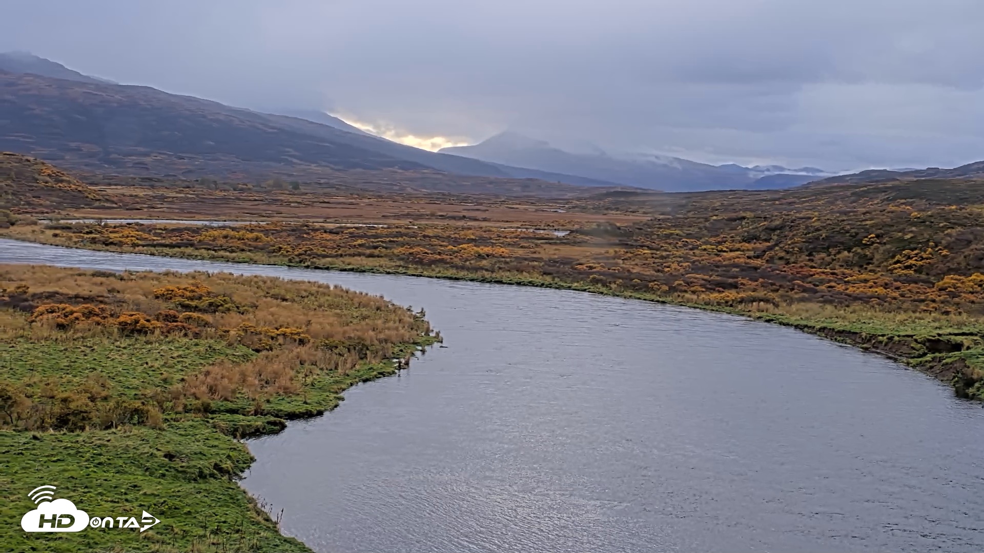 Snapshot of Kodiak Alaska Brown Bears Live Webcam taken Oct 8, 2026, 10:09am AKDT