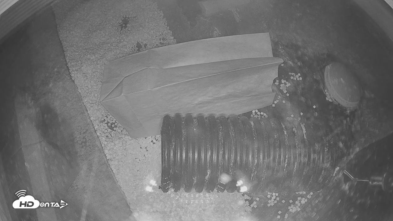 Snapshot of US Fish & Wildlife Black-Footed Ferret Live Cam taken Nov 24, 2025, 5:00pm MST