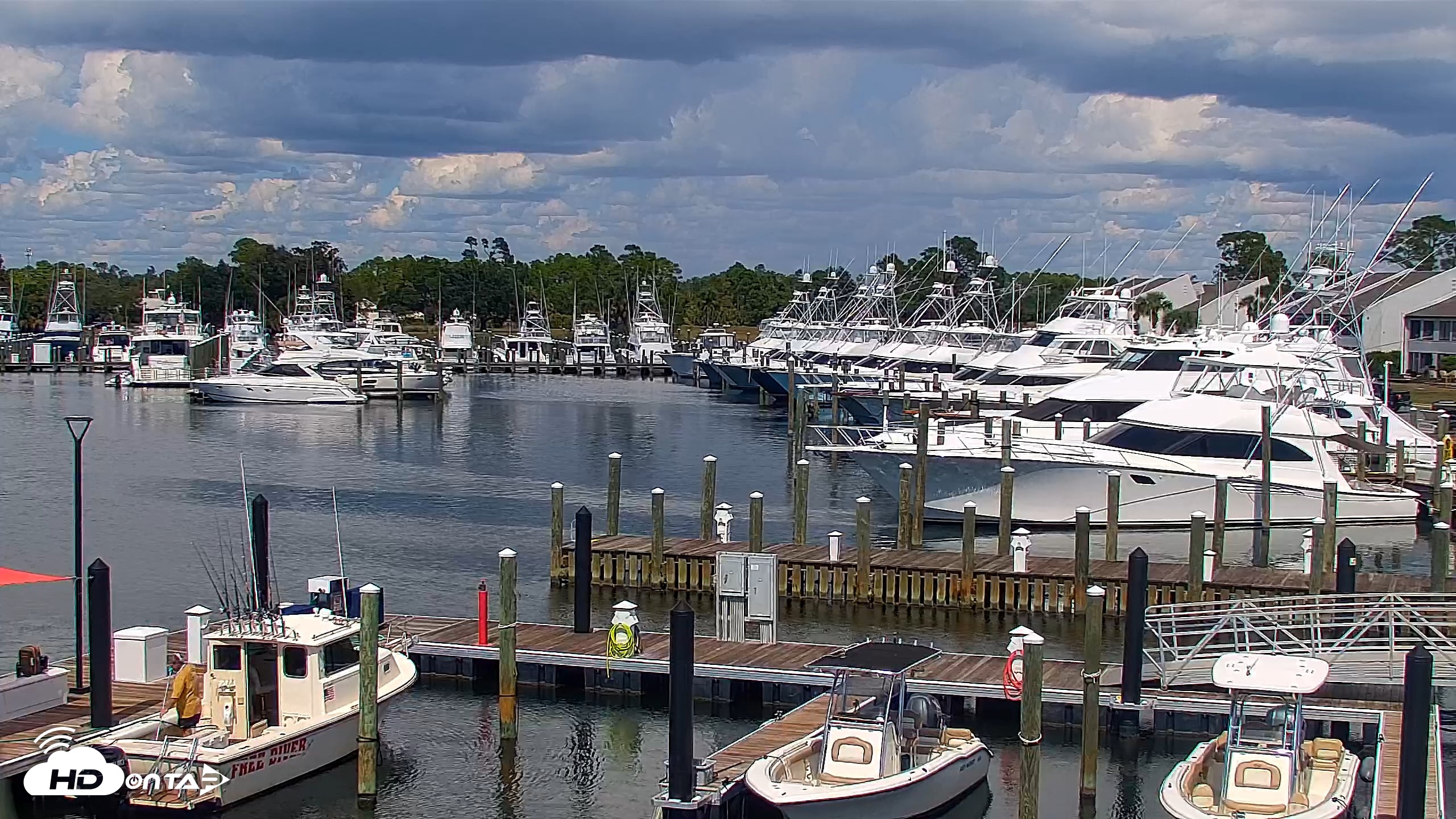 Snapshot of Point South Marina Roaming Live Cam taken Sep 30, 2026, 1:40pm CDT